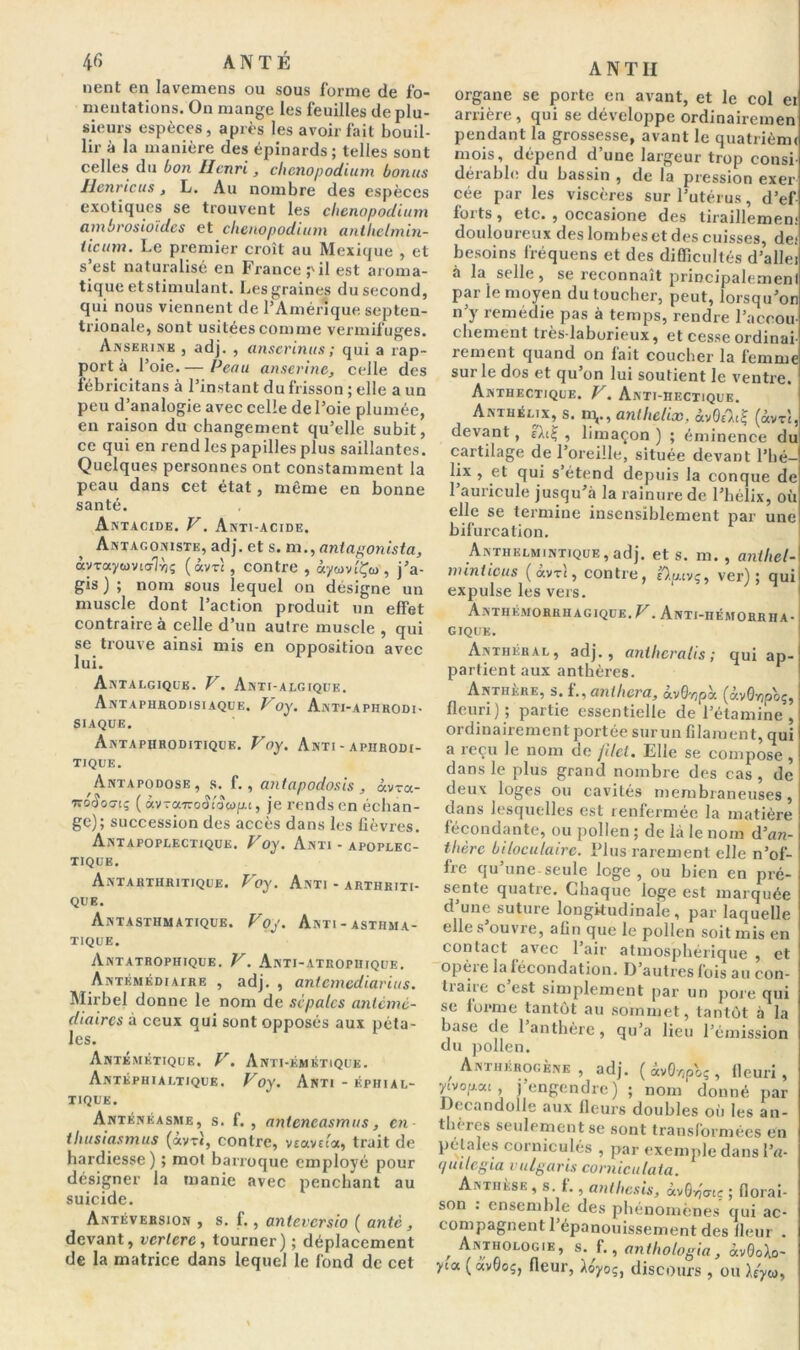 nent en lavemens ou sous forme de fo- mentations. On mange les feuilles de plu- sieurs espèces, après les avoir fait bouil- lir à la manière des épinards; telles sont celles du bon Henri, chenopodium bonus Henricus, L. Au nombre des espèces exotiques se trouvent les chenopodium ambrosioïdes et chenopodium antlielmin- ticum. Le premier croît au Mexique , et s’est naturalisé en France pii est aroma- tique etstimulant. Les graines du second, qui nous viennent de l’Amérique septen- trionale, sont usitées comme vermifuges. Anserine , adj. , anscrinus ; qui a rap- porta l’oie.— Peau anserinc, celle des fébricitans à l’instant du frisson ; elle a un peu d’analogie avec celle de l’oie plumée, en raison du changement qu’elle subit, ce qui en rend les papilles plus saillantes. Quelques personnes ont constamment la peau dans cet état, même en bonne santé. Antacide. V. Anti-acide. Antagoniste, adj. et s. m.,antagonista, àyraycovicrlyjç (âvv; , contre , âywviÇw , j’a- gis ) ; nom sous lequel on désigne un muscle dont l’action produit un effet contraire à celle d’un autre muscle , qui se trouve ainsi mis en opposition avec lui. Antalgique. V. Anti-algique. Antaphrodisi aque. P oy. Anti-apiirodi- siaque. Antaphroditiquk. Voy. Anti - apiirodi- TIQUE. Antapodose, s. f., antapodosis , «vra- Trcxîocriç ( àvrairoiîi'ow/ju, je rends en échan- ge); succession des accès dans les fièvres. Antapoplectique. Voy. Anti - apoplec- tique. Antahthritique. Voy. Anti - arthriti- que. Antasthmatique. Voy. Anti-asthma- tique. Antatrophique. V. Anti-atrophique. Antémédiatre , adj. , antemediarius. Mirbel donne le nom de sépales anlcmé- diaircs à ceux qui sont opposés aux péta- les. Antémétique. V. Anti-émétique. Antéphialtique. Voy. Anti - éphial- TIQUE. Anténéasme, s. f. , müencasmus, en thusiasmus (àvr«, contre, vt ave t'a, trait de hardiesse) ; mot barroque employé pour désigner la manie avec penchant au suicide. Antéversion , s. f., anteversio ( antè , devant, vcrlcrc, tourner) ; déplacement de la matrice dans lequel le fond de cet ANTI! organe se porte en avant, et le col ei arrière, qui se développe ordinairemen pendant la grossesse, avant le quatrièmi mois, dépend d’une largeur trop consi- dérable du bassin , de la pression exer cée par les viscères sur l’utérus, d’ef forts, etc. , occasione des tiraillemem douloureux des lombes et des cuisses, de.* besoins fréquens et des difficultés d’allei à la selle, se reconnaît principalement par ie moyen du toucher, peut, lorsqu’on n’y remédie pas à temps, rendre l’accou- chement très-laborieux, et cesse ordinai- rement quand on lait coucher la femme sur le dos et qu’on lui soutient le ventre. Anthectique. V. Anti-hectique. Anthélix, s. nv, anthelix, àvGâiÇ (àvrt, devant, eAtÇ , limaçon ) ; éminence du cartilage de l’oreille, située devant l’hé- lix , et qui s étend depuis la conque de 1 auricule jusqu’à la rainure de l’hélix, où elle se termine insensiblement par une bifurcation. Antiielmintique, adj. et s. m. , anthel- minticus ( âvrl, contre, eAuuvç, ver); qui expulse les vers. Anthémorrhagique.^. Anti-hémorrha- gique. Anthéral, adj., anlhcralis ; qui ap- partient aux anthères. Anthere, s. l.,antliera, <xv0-/;pà (àvGyjpoç, fleuri); partie essentielle de l’étamine, ordinairement portée sur un filament, qui a reçu le nom de filet, Elle se compose , dans le plus grand nombre des cas , de deux loges ou cavités membraneuses, dans lesquelles est renfermée la matière fécondante, ou pollen ; de là le nom à'an- thère biloculairc. Plus rarement elle n’of- fie qu une seule loge , ou bien en pré- sente quatre. Chaque loge est marquée d’une suture longitudinale, par laquelle elle s’ouvre, afin que le pollen soit mis en contact avec l’air atmosphérique , et opèi e la fécondation. D’autres fois au con- traire c’est simplement par un pore qui se forme tantôt au sommet, tantôt à la base de l’anthère, qu’a lieu l’émission du pollen. , Antherogène , adj. ( âv0-//poç , fleuri, ytvopat , j’engendre) ; nom donné par Decandolle aux fleurs doubles où les an- thères seulement se sont transformées en pétales corniculés , par exemple dans (j u 11cgia v ulga r is cornicu la ta. Antiièse, s. f., anthesis, àv6n<nç ; florai- son . ensemble des phénomènes qui ac- compagnent 1 épanouissement des fleur . r Anthologie, s. f., anthologia, àvGoAo- yia ( àv0oç, fleur, Ao'yoç, discours , ou Acyw,