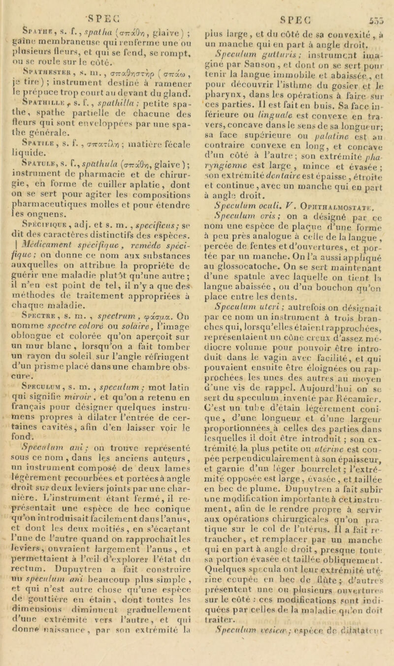 Spaïmk, s. f., s pal ha (<T7râOv), glaive) ; j,raînc membraneuse qui renferme une ou plusieurs Heurs, et qui se fend, se rompt, ou se roule sur le côté. Shathesteh , s. m. , arra{)y)gr/jp v ciraw , je tire); instrument destiné à ramener le prépuce trop court au devant du gland. Spathiuæ, s. f., spathiïla; petite spa- the, spathe partielle de chacune, des fleurs qui sont enveloppées par une spa- the générale. Spatile > s. I. ) vttciltIX-/) ; matière fécale liquide. Spatule, s. f., spntliula (v-rxO-n, glaive ) ; instrument de pharmacie et de chirur- gie, ch forme de cuiller aplatie, dont on se sert pour agiter les compositions pharmaceutiques molles et pour étendre les onguens. Spkci riQtiE , ad j. et s. m. , spécifiais ; se dit des caractères distinctifs des espèces. | Médicament spécifique, remède spéci- fique; on donne ce nom aux substances auxquelles on attribue la propriété de guérir une maladie plutôt qu’une autre; il n’en est point de tel, il n’y a que des méthodes de traitement appropriées à chaque maladie. Spectre, s. m. , spcctrum, cpacu.a. On nomme spectre coloré ou solaire, l’image oblongue et colorée qu’on aperçoit sur un mur blanc, lorsqu’on a fait tomber un rayon du soleil sur l’angle réfringent d’un prisme placé dans une chambre obs- c u re. Spéculum, s. m. , spéculum ; mot latin qui signifie miroir, et qu’on a retenu en français pour désigner quelques instru- mens propres à dilater l’entrée de cer- taines cavités, afin d’en laisser voir le fond. Spéculum oui: on trouve représenté sous ce nom , dans le,s anciens auteurs, un instrument composé de deux lames légèrement recourbées et portéesé angle droit sur deux leviers joints par une char- nière. L’instrument étant fermé, il re- présentait une espèce de bec conique qu’on introduisait facilement dans l’anus, et dont les deux moitiés, en s’écartant l’une de l’autre quand on rapprochait les leviers, ouvraient largement l’anus, et permettaient à l'oeil d’explorer l’état du rectum. Dupuytren a fait construire un spéculum uni beaucoup plus simple , et qui n’est autre chose qu’une espèce de gouttière en étain , dont toutes les dimensions diminuent graduellement d’une extrémité vers l’autre, et qui donne naissance, par son extrémité la plus large, et du côté de sa convexité, à un manche qui en part à angle droit. Spéculum ÿutluris ; instrument ima- giné par Sanson , et dont on se sert pour tenir la langue immobile et abaissée , et pour découvrir l’isthme du gosier et le pharynx, dans les opérations à faire sur ces parties. 11 est fait en buis. Sa face in- férieure ou linguale est convexe en tra- vers, concave dans le sens de sa longueur; sa face supérieure ou palatine est au contraire convexe en long, et concave d’un côté à l’autre; son extrémité plia ryngienne est large , mince et évasée ; son extrémité dentaire est épaisse , étroite et continue , avec un manche qui eu part à angle droit. Spéculum oculi. F. Ophthalmostàte. Spéculum cris; on a désigné par ce nom une espèce de plaque d’une forme è peu près analogue à celle de la langue , percée de fentes et d’ouvertures, et por- tée par un manche. On l’a aussi appliqué au glossocatoche. On se sert maintenant d’une spatule avec laquelle on tient la langue abaissée, ou d’un bouchon qu’on place entre les dents. Spéculum uteri ; autrefois on désignait par ce nom un instrument i\ trois bran- ches qui, lorsqu’elles étaient rapprochées, représentaient un cône creux d’assez mé- diocre volume pour pouvoir être intro- duit dans le vagin avec facilité, et qui pouvaient ensuite être éloignées ou rap- prochées les unes des autres au moyeu d’une vis de rappel. Aujourd’hui on se. sert du spéculum .inventé par Récamier. C’est un tube d’étain légèrement coni que, d’une longueur et d’une largeur proportionnées ^ celles des parties dans lesquelles il doit être introduit ; sou ex- trémité la plus petite ou utérine est cou- pée perpendiculairement à son épaisseur, et garnie d’un léger bourrelet; l’extré- mité opposée est large, évasée, et taillée en bec déplumé. Dupuytren a fait subir une modification importante à cetinslru ment, afin de le rendre propre à servir aux opérations chirurgicales qu’on pra- tique sur le col de l’utérus, il a fait re- trancher, et remplacer par un manche qui en part à angle droit, presque toute sa portion évasée et taillée obliquement. Quelques spécula ont leur extrémité uté- rine coupée en bec de llùte; d’autres présentent une ou plusieurs ouverture sur le côté : ces modifications sont indi- quées par celles de la maladie qu’on doit traiter. Spéculum cesicrc ; espèce de dilatait ni