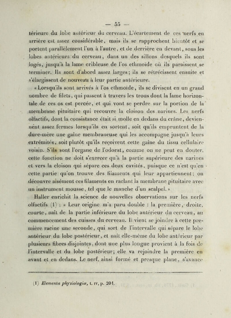 térleure du lobe antérieur du cerveau. L’écartement de ces ’nerfs en arrière est assez considérable, mais ils se rapprochent bientôt et se portent parallèlement l’un à l’autre, et cie derrière en devant, sous les lobes antérieurs du cerveau, dans un des sillons desquels ils sont logés, jusqu’à la lame cribleuse de l’os ethmoïde où ils paraissent se terminer, lis sont d’abord assez larges; ils se rétrécissent ensuite et s’élargissent de nouveau à leur partie antérieure. M Lorsqu’ils sont arrivés à l’os ethmoïde, ils se divisent en un grand nombre de filets, qui passent à travers les trous dont la lame horizon- tale de ces os est percée, et qui vont se perdre sur la portion de la membrane pituitaire qui recouvre la cloison des narines. Les nerls olfactifs, dont la consistance était si molle en dedans du crâne, devien- nent assez fermes lorsqu’ils en sortent, soit qu’ils empruntent de la dure-mère une gaine membraneuse qui les accompagne jusqu’à leurs extrémités, soit plutôt qu’ils reçoivent cette gaine du tissu cellulaire voisin. S’ils sont l’organe de l’odorat, comme on ne peut en douter, cette fonction ne doit s’exercer qu’à la partie supérieure des narines et vers la cloison qui sépare ces deux cavités, puisque ce n’est qu’en cette partie qu’on trouve des filaments qui leur appartiennent; on découvre aisément ces filaments en raclant la membrane pituitaire avec un instrument mousse, tel que le manche d’un scalpel.» Haller enrichit la science de nouvelles observations sur les nerfs olfactifs (1) ; « Leur origine m’a paru double : la première, droite, courte, naît de la partie inférieure du lobe antérieur du cerveau, au commencement des cuisses du cerveau. H vient se joindre à cette pre- mière racine une seconde, qui sort de l’intervalle qui sépare le lobe antérieur du lobe postérieur, et naît elle-même du lobe antérieur par plusieurs fibres disjointes, dont une plus longue pi'ovient à la fois de l’intervalle et du lobe postérieur; elle va rejoindre la première en avant et en dedans. Le nerf, ainsi formé et presque plane, s’avance