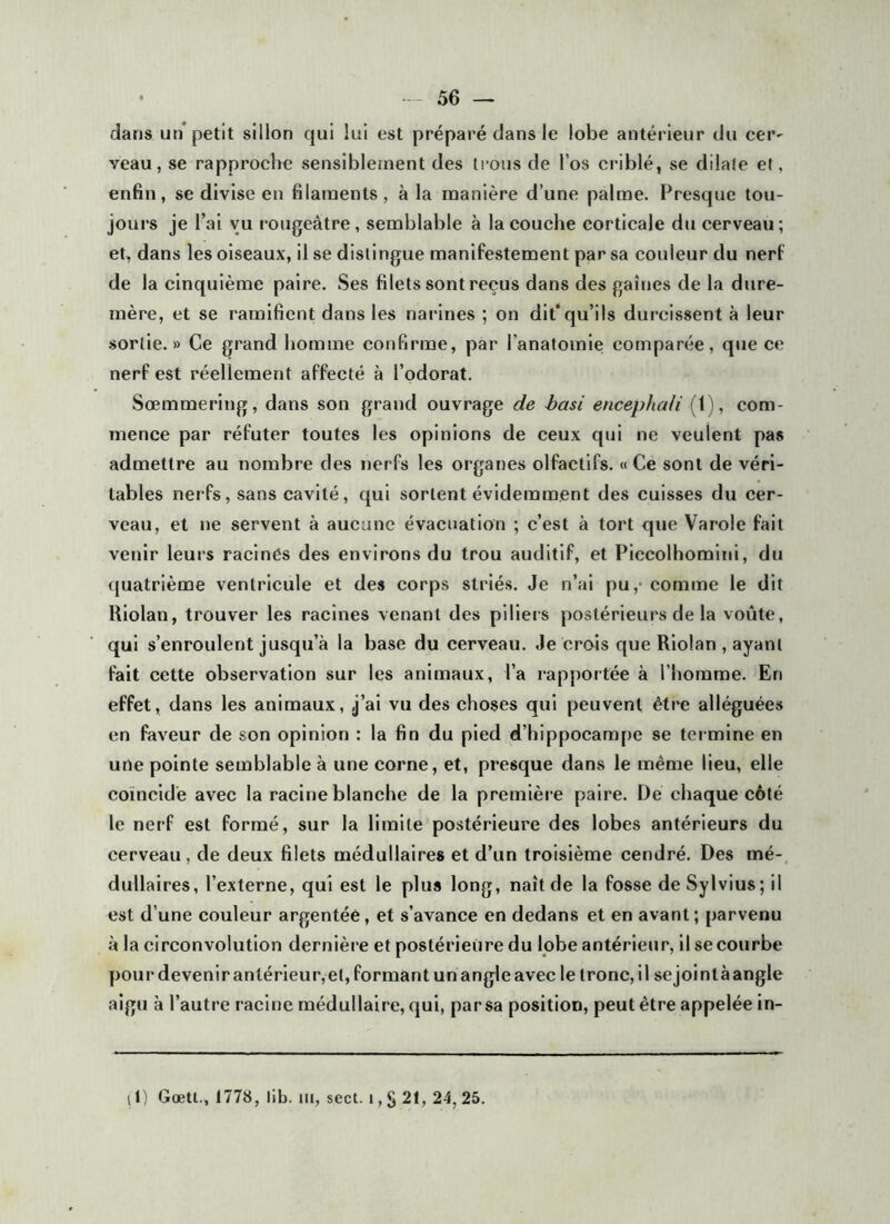 • - 56 — dans un* petit sillon qui lui est préparé dans le lobe antérieur du cer^ veau, se rapproclie sensiblement des irons de l’os criblé, se dilale ei, enfin, se divise en filaments, à la manière d’une palme. Presque tou- jours je l’ai vu l•ougeâtre, semblable à la couche corticale du cerveau ; et, dans les oiseaux, il se dislingue manifestement par sa couleur du nerf de la cinquième paire. Ses filets sont reçus dans des gaines de la dure- mère, et se ramifient dans les narines ; on dit*qu’ils durcissent à leur sortie.» Ce grand homme confirme, par l’anatomie comparée, que ce nerf est réellement affecté à l’odorat. Sœmmering, dans son grand ouvrage de hasi encephali (1), com- mence par réfuter toutes les opinions de ceux qui ne veulent pas admettre au nombre des nerfs les organes olfactifs. « Ce sont de véri- tables nerfs, sans cavité, qui sortent évidemment des cuisses du cer- veau, et ne servent à aucune évacuation ; c’est à tort que Varole fait venir leurs raclnés des environs du trou auditif, et Piccolhomini, du (pjatrième ventricule et des corps striés. Je n’ai pu,- eomme le dit Kiolan, trouver les racines venant des piliers postérieurs de la voûte, qui s’enroulent jusqu’à la base du cerveau. Je crois que Riolan , ayant fait cette observation sur les animaux, l’a rapj)Ortée à l’homme. En effet, dans les animaux, j’ai vu des choses qui peuvent être alléguées en faveur de son opinion : la fin du pied d’hippocampe se termine en une pointe semblable à une corne, et, presque dans le même lieu, elle coïncidé avec la racine blanche de la première paire. De chaque côté le nerf est formé, sur la limite postérieure des lobes antérieurs du cerveau, de deux filets médullaires et d’un troisième cendré. Des mé- dullaires, l’externe, qui est le plus long, naît de la fosse de Sylvius; il est d’une couleur argentée, et s’avance en dedans et en avant ; parvenu à la circonvolution dernière et postérieure du lobe antérieur, il se courbe pour devenir antérieur, et, formant un angle avec le tronc, il sejointàangle aigu à l’autre racine médullaire, qui, parsa position, peut être appelée in-