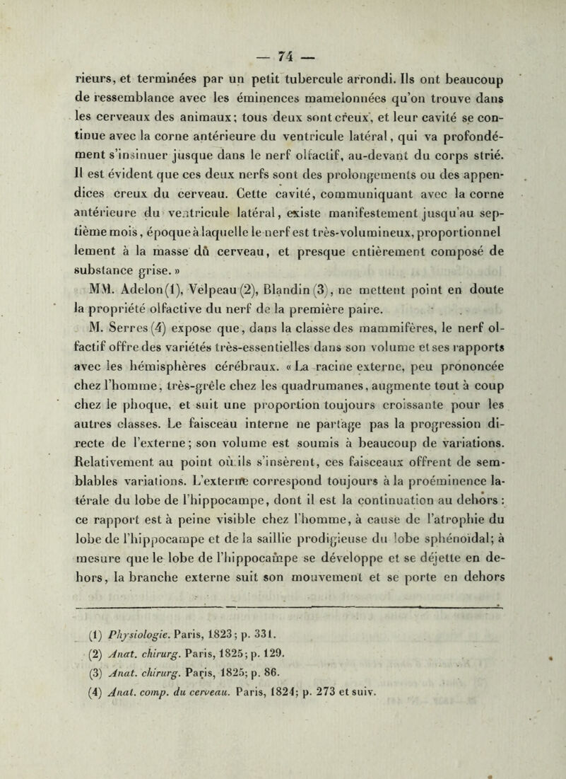 rieurs, et terminées par un petirtubercule arrondi. Ils ont beaucoup de ressemblance avec les éminences mamelonnées qu’on trouve dans les cerveaux des animaux; tous deux sont creux', et leur cavité se con- tinue avec la corne antérieure du ventricule latéral, qui va profondé- ment s’insinuer jusque dans le nerf olfactif, au-devant du corps strié. Il est évident que ces deux nerfs sont des prolonjjements ou des appen- dices creux du cerveau. Celte cavité, communiquant avec la corne antérieure du ventricule latéral, existe manifestement jusqu’au sep- tième mois, époque à laquelle le nerf est très-volumineux, proportionnel lement à la masse dû cerveau, et presque entièrement composé de substance grise. » MM. Adelon(l), Velpeau (2), Blandin (3), ne mettent point en doute la propriété olfactive du nerf de la première paire. M. Serres (4) expose que, dans la classe des mammifères, le nerf ol- factif offre des variétés très-essentielles dans son volume et ses rapports avec les hémisphères cérébraux. «La racine externe, peu prononcée chez l’homme, très-grêle chez les quadrumanes, augmente tout à coup chez le phoque, et suit une proportion toujours croissante pour les autres classes. Le faisceau Interne ne partage pas la progression di- recte de l’externe; son volume est soumis à beaucoup de variations. Relativement au point où ils s’insèrent, ces faisceaux offrent de sem- blables variations. L’externe correspond toujours à la proéminence la- térale du lobe de l’hippocampe, dont il est la continuation au dehors : ce rapport esta peine visible chez l’homme, à cause de l’atrophie du lobe de l’hippocampe et de la saillie prodigieuse du lobe sphénoïdal; à mesure que le lobe de l’iiippocampe se développe et se déjette en de- hors, la branche externe suit son mouvement et se porte en dehors (1) Physiologie. Paris, 1823; p. 331. (2) Anat. chirurg. Paris, 1825; p. 129. (3) Anat. chirurg. Paris, 1825; p. 86. (4) Anal, coinp. du cerveau. Paris, 1824; p. 273 etsuiv.