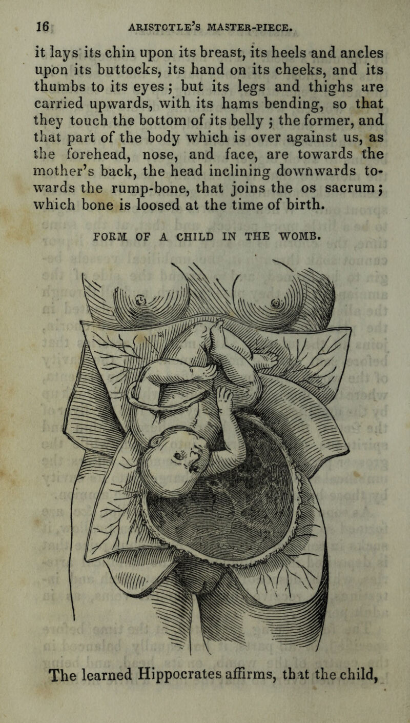 it lays its chin upon its breast, its heels and ancles upon its buttocks, its hand on its cheeks, and its thumbs to its eyes 5 but its legs and thighs are carried upwards, with its hams bending, so that they touch the bottom of its belly ; the former, and that part of the body which is over against us, as the forehead, nose, and face, are towards the mother’s back, the head inclining downwards to- wards the rump-bone, that joins the os sacrum 5 which bone is loosed at the time of birth. FORM OF A CHILD IN THE WOMB. The learned Hippocrates affirms, th at the child,