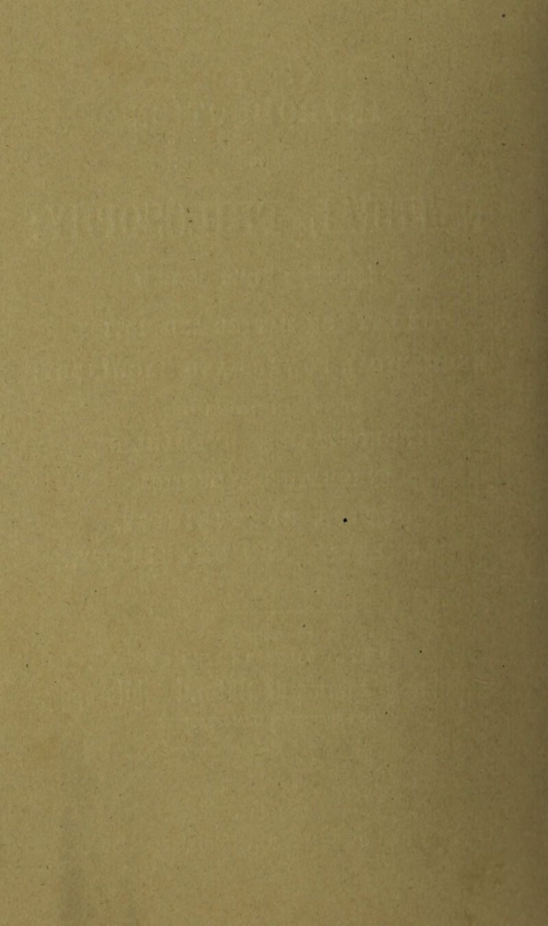 ' J V \ . / V r / v .* v' / '• • *s f. V