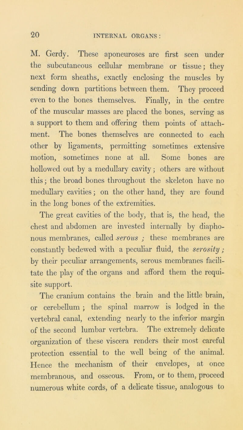 M. Gerdy. These aponeuroses are first seen under the subcutaneous cellular membrane or tissue; they next form sheaths, exactly enclosing the muscles by sending down partitions between them. They proceed even to the bones themselves. Finally, in the centre of the muscular masses are placed the bones, serving as a support to them and offering them points of attach- ment. The hones themselves are connected to each other by ligaments, permitting sometimes extensive motion, sometimes none at all. Some bones are hollowed out by a medullary cavity; others are without this; the broad bones throughout the skeleton have no medullary cavities; on the other hand, they are found in the long bones of the extremities. The great cavities of the body, that is, the head, the chest and abdomen are invested internally by diapho- nous membranes, called serous ; these membranes are constantly bedewed with a peculiar fluid, the serosity; by their peculiar arrangements, serous membranes facili- tate the play of the organs and afford them the requi- site support. The cranium contains the brain and the little brain, or cerebellum ; the spinal marrow is lodged in the vertebral canal, extending nearly to the inferior margin of the second lumbar vertebra. The extremely delicate organization of these viscera renders their most careful protection essential to the well being of the animal. Hence the mechanism of their envelopes, at once membranous, and osseous. From, or to them, proceed numerous white cords, of a delicate tissue, analogous to