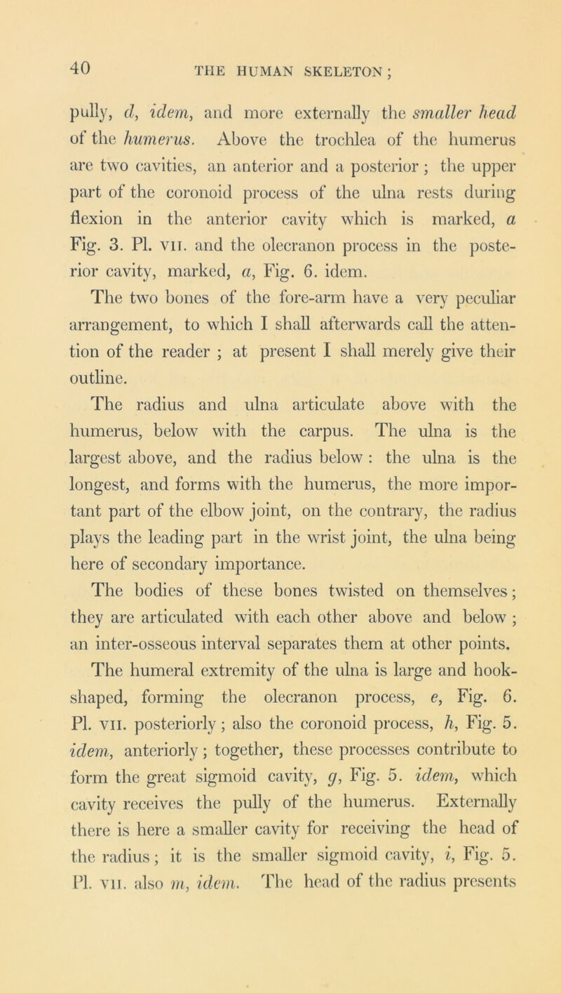 pully, cl, idem, and more externally the smaller head of the humerus. Above the trochlea of the humerus are two cavities, an anterior and a posterior; the upper part of the coronoid process of the ulna rests during flexion in the anterior cavity which is marked, a Fig. 3. PL vn. and the olecranon process in the poste- rior cavity, marked, a, Fig. 6. idem. The two bones of the fore-arm have a very peculiar arrangement, to which I shall afterwards call the atten- tion of the reader ; at present I shall merely give their outline. The radius and ulna articulate above with the humerus, below with the carpus. The ulna is the largest above, and the radius below : the ulna is the longest, and forms with the humerus, the more impor- tant part of the elbow joint, on the contrary, the radius plays the leading part in the wrist joint, the ulna being here of secondary importance. The bodies of these bones twisted on themselves; they are articulated with each other above and below ; an inter-osseous interval separates them at other points. The humeral extremity of the ulna is large and hook- shaped, forming the olecranon process, e, Fig. 6. PI. vii. posteriorly; also the coronoid process, h, Fig. 5. idem, anteriorly; together, these processes contribute to form the great sigmoid cavity, g, Fig. 5. idem, which cavity receives the pully of the humerus. Externally there is here a smaller cavity for receiving the head of the radius; it is the smaller sigmoid cavity, i, Fig. 5. Id. vn. also m, idem. The head of the radius presents