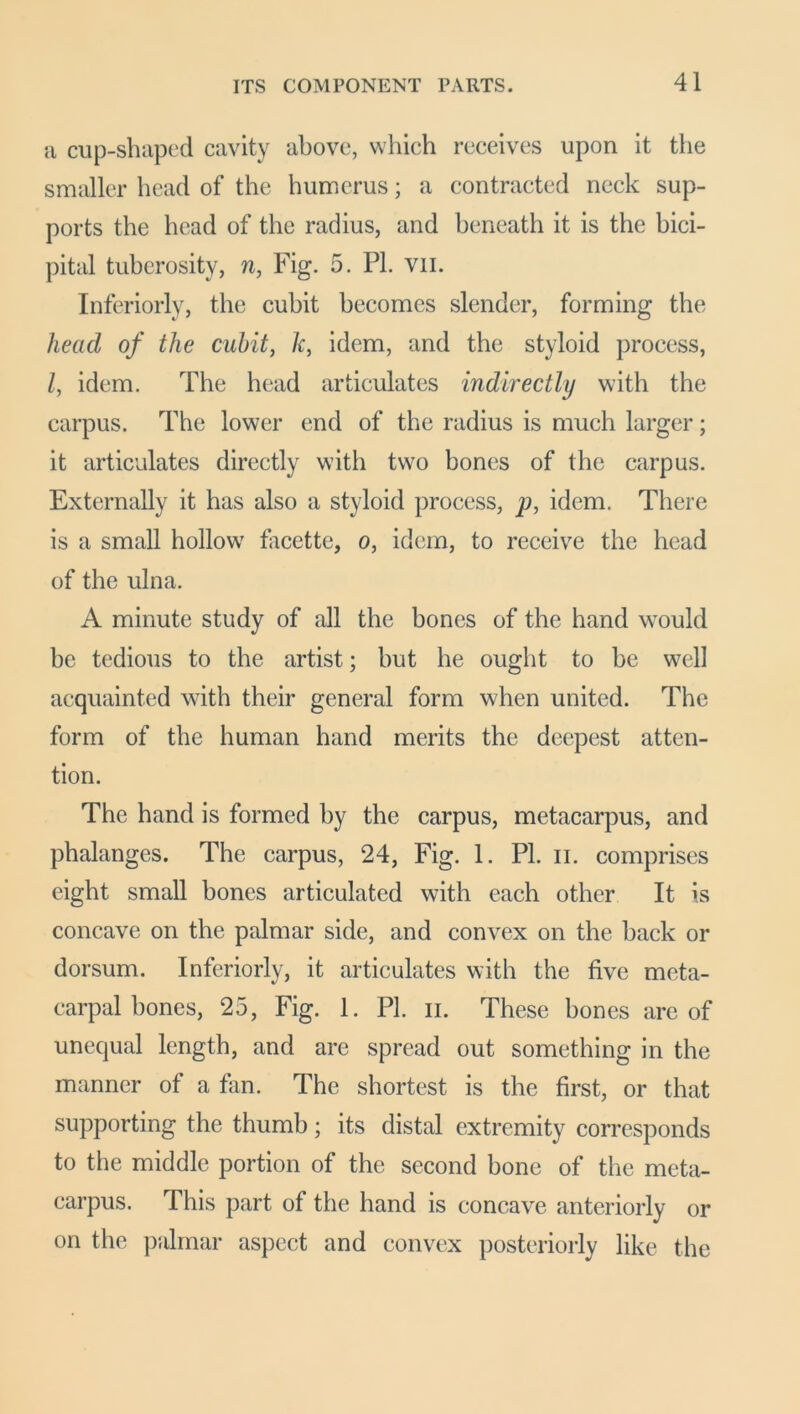 a cup-shaped cavity above, which receives upon it the smaller head of the humerus; a contracted neck sup- ports the head of the radius, and beneath it is the bici- pital tuberosity, n, Fig. 5. PI. vii. Inferiorly, the cubit becomes slender, forming the head of the cubit, h, idem, and the styloid process, /, idem. The head articulates indirectly with the carpus. The lower end of the radius is much larger; it articulates directly with two bones of the carpus. Externally it has also a styloid process, p, idem. There is a small hollow facette, o, idem, to receive the head of the ulna. A minute study of all the bones of the hand would be tedious to the artist; but he ought to be well acquainted with their general form when united. The form of the human hand merits the deepest atten- tion. The hand is formed by the carpus, metacarpus, and phalanges. The carpus, 24, Fig. 1. PI. n. comprises eight small bones articulated with each other It is concave on the palmar side, and convex on the back or dorsum. Inferiorly, it articulates with the five meta- carpal bones, 25, Fig. 1. PI. ii. These bones are of unequal length, and are spread out something in the manner of a fan. The shortest is the first, or that supporting the thumb; its distal extremity corresponds to the middle portion of the second bone of the meta- carpus. This part of the hand is concave anteriorly or on the palmar aspect and convex posteriorly like the