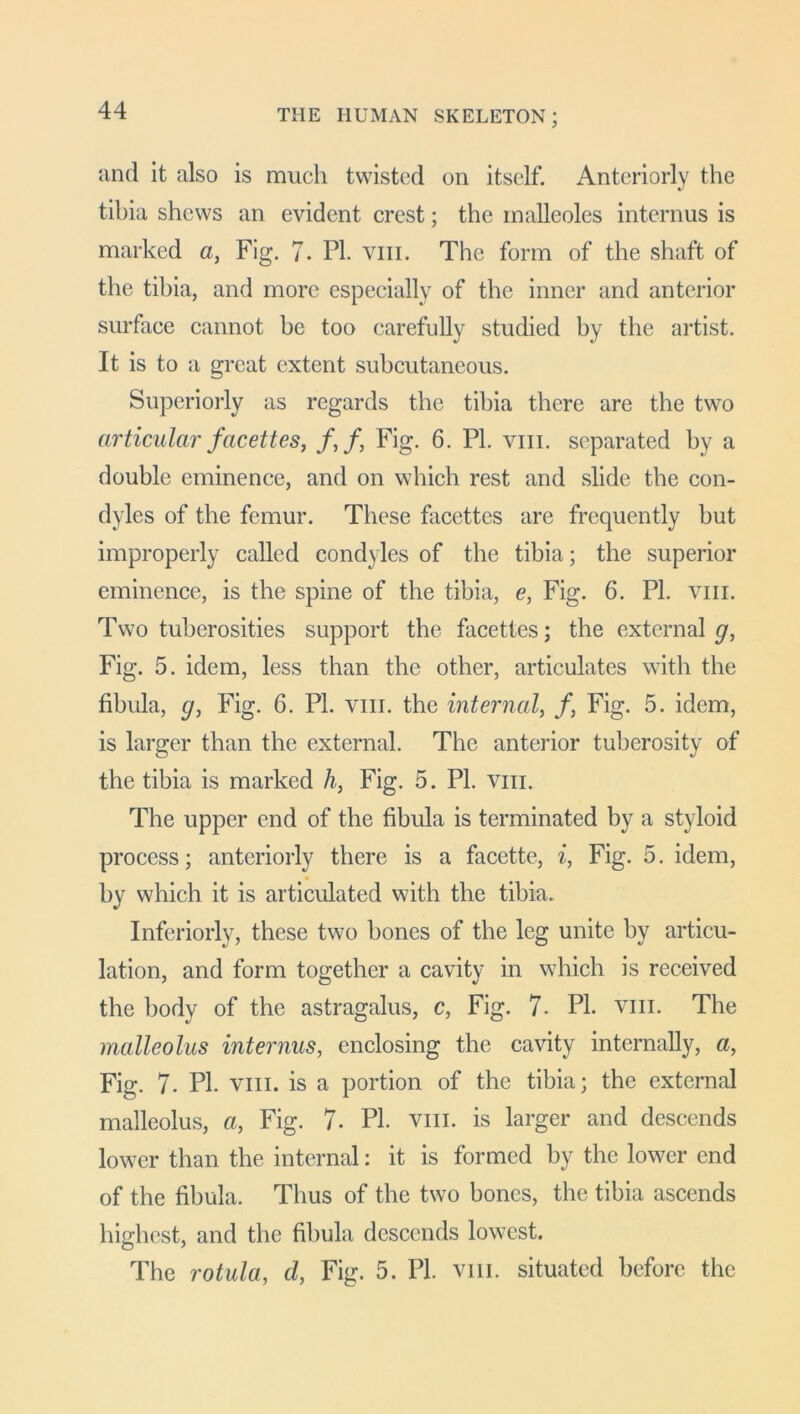 and it also is much twisted on itself. Anteriorly the tihia shews an evident crest; the inalleoles interims is marked a, Fig. 7. PI. viii. The form of the shaft of the tihia, and more especially of the inner and anterior surface cannot be too carefully studied by the artist. It is to a great extent subcutaneous. Superiorly as regards the tibia there are the two articular facettes, f,f, Fig. 6. PL viii. separated hy a double eminence, and on which rest and slide the con- dyles of the femur. These facettes are frequently but improperly called condyles of the tibia; the superior eminence, is the spine of the tibia, e, Fig. 6. PL viii. Two tuberosities support the facettes; the external g, Fig. 5. idem, less than the other, articulates with the fibula, g, Fig. 6. Pl. viii. the internal, f, Fig. 5. idem, is larger than the external. The anterior tuberosity of the tibia is marked h, Fig. 5. PL viii. The upper end of the fibula is terminated by a styloid process; anteriorly there is a facette, i, Fig. 5. idem, by which it is articulated with the tibia. Inferiorly, these two bones of the leg unite by articu- lation, and form together a cavity in which is received the body of the astragalus, c, Fig. 7- PL viii. The malleolus interims, enclosing the cavity internally, a, Fi”*. 7- PL viii. is a portion of the tibia; the external malleolus, a, Fig. 7. PL viii. is larger and descends lower than the internal: it is formed by the lower end of the fibula. Thus of the two bones, the tibia ascends highest, and the fibula descends lowest. The rotula, cl, Fig. 5. PL viii. situated before the