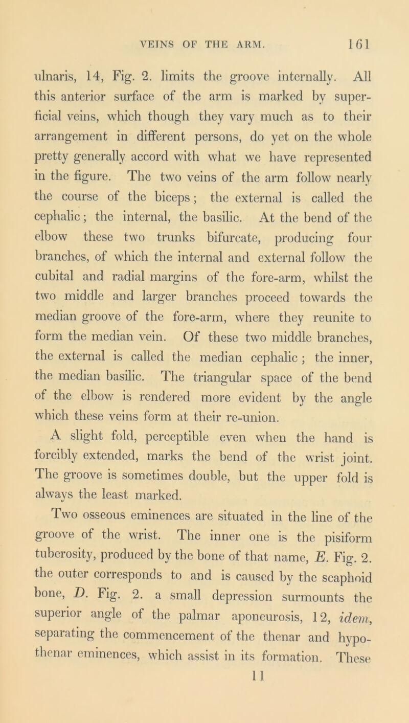 ulnaris, 14, Fig. 2. limits the groove internally. All this anterior surface of the arm is marked by super- ficial veins, which though they vary much as to their arrangement in different persons, do yet on the whole pretty generally accord with what we have represented in the figure. The two veins of the arm follow nearly the course of the biceps; the external is called the cephalic ; the internal, the basilic. At the bend of the elbow these two trunks bifurcate, producing four branches, of which the internal and external follow the cubital and radial margins of the fore-arm, whilst the two middle and larger branches proceed towards the median groove of the fore-ann, where they reunite to form the median vein. Of these two middle branches, the external is called the median cephalic ; the inner, the median basilic. The triangular space of the bend of the elbow is rendered more evident by the angle which these veins form at their re-union. A slight fold, perceptible even when the hand is forcibly extended, marks the bend of the wrist joint. The groove is sometimes double, but the upper fold is always the least marked. Two osseous eminences are situated in the line of the groove of the wrist. The inner one is the pisiform tuberosity, produced by the bone of that name, E. Fig. 2. the outer corresponds to and is caused by the scaphoid bone, D. Fig. 2. a small depression surmounts the superior angle of the palmar aponeurosis, 12, idem, separating the commencement of the thenar and hypo- thenar eminences, which assist in its formation. These 11