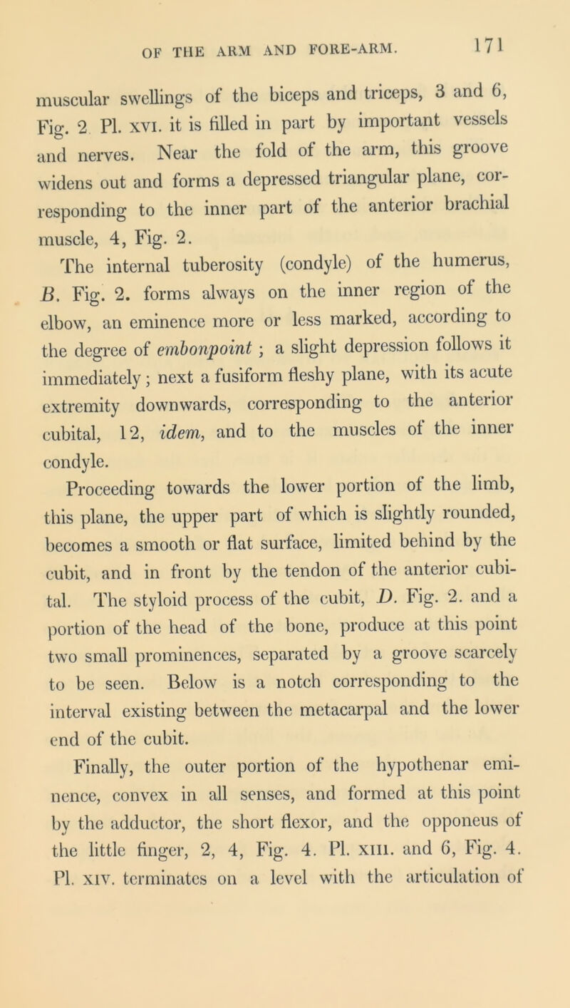 OF THE ARM AND FORE-ARM. muscular swellings ol the biceps and triceps, 3 and 6, Fig. 2 PL xvi. it is tilled in part by important vessels and nerves. Near the fold of the arm, this gioove widens out and forms a depressed triangular plane, cor- responding to the inner part of the antei 101 hi achial muscle, 4, Fig. 2. The internal tuberosity (condyle) of the humerus, B. Fig. 2. forms always on the inner region of the elbow, an eminence more or less marked, according to the degree of embonpoint ; a slight depression follows it immediately ; next a fusiform fleshy plane, with its acute extremity downwards, corresponding to the anterior cubital, 12, idem, and to the muscles of the inner condyle. Proceeding towards the lower portion of the limb, this plane, the upper part of which is slightly rounded, becomes a smooth or flat surface, limited behind by the cubit, and in front by the tendon of the anterior cubi- tal. The styloid process of the cubit, D. Fig. 2. and a portion of the head of the hone, produce at this point two small prominences, separated by a groove scarcely to be seen. Below is a notch corresponding to the interval existing between the metacarpal and the lower end of the cubit. Finally, the outer portion of the hypothenar emi- nence, convex in all senses, and formed at this point by the adductor, the short flexor, and the opponeus of the little finger, 2, 4, Fig. 4. PI. xm. and 6, Fig. 4. PI. xiv. terminates on a level with the articulation of