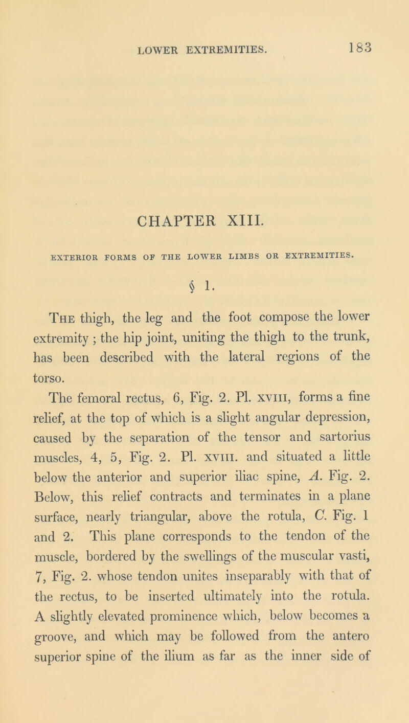 LOWER EXTREMITIES. CHAPTER XIII. EXTERIOR FORMS OF THE LOWER LIMBS OR EXTREMITIES. § 1. The thigh, the leg and the foot compose the lower extremity ; the hip joint, uniting the thigh to the trunk, has been described with the lateral regions of the torso. The femoral rectus, 6, Fig. 2. PI. xyiii, forms a fine relief, at the top of which is a slight angular depression, caused by the separation of the tensor and sartorius muscles, 4, 5, Fig. 2. PI. xyiii. and situated a little below the anterior and superior iliac spine, A. Fig. 2. Below, this relief contracts and terminates in a plane surface, nearly triangular, above the rotula, C. Fig. 1 and 2. This plane corresponds to the tendon of the muscle, bordered by the swellings of the muscular vasti, 7, Fig. 2. whose tendon unites inseparably with that of the rectus, to be inserted ultimately into the rotula. A slightly elevated prominence which, below becomes u groove, and which may he followed from the antero superior spine of the ilium as far as the inner side of