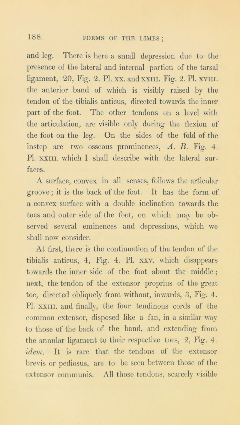 and leg. There is here a small depression due to the presence of the lateral and internal portion of the tarsal ligament, 20, Fig. 2. PL xx. andxxm. Fig. 2. PI. xvm. the anterior band of which is visibly raised by the tendon of the tibialis anticus, directed towards the inner part of the foot. The other tendons on a level with the articulation, are visible only during the flexion of the foot on the leg. On the sides of the fold of the instep are two osseous prominences, A. B. Fig. 4. PL xxiii. which I shall describe with the lateral sur- faces. A surface, convex in all senses, follows the articular groove; it is the back of the foot. It has the form of a convex surface with a double inclination towards the toes and outer side of the foot, on which may be ob- served several eminences and depressions, which we shall now consider. At first, there is the continuation of the tendon of the tibialis anticus, 4, Fig. 4. Pl. xxv. which disappears towards the inner side of the foot about the middle; next, the tendon of the extensor proprius of the great toe, directed obliquely from without, inwards, 3, Fig. 4. PL xxiii. and finally, the four tendinous cords of the common extensor, disposed like a fan, in a similar way to those of the back of the hand, and extending from the annular ligament to their respective toes, 2, Fig. 4. idem. It is rare that the tendons of the extensor brevis or pediosus, are to be seen between those of the extensor communis. All those tendons, scarcely visible ' %!