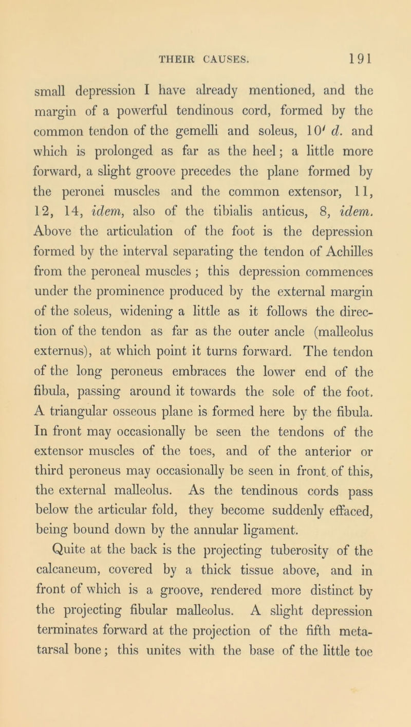 small depression I have already mentioned, and the margin of a powerful tendinous cord, formed by the common tendon of the gemelli and soleus, 10'd. and which is prolonged as far as the heel; a little more forward, a slight groove precedes the plane formed by the peronei muscles and the common extensor, 11, 12, 14, idem, also of the tibialis anticus, 8, idem. Above the articulation of the foot is the depression formed by the interval separating the tendon of Achilles from the peroneal muscles ; this depression commences under the prominence produced by the external margin of the soleus, widening a little as it follows the direc- tion of the tendon as far as the outer ancle (malleolus externus), at which point it turns forward. The tendon of the long peroneus embraces the lower end of the fibula, passing around it towards the sole of the foot. A triangular osseous plane is formed here by the fibula. In front may occasionally be seen the tendons of the extensor muscles of the toes, and of the anterior or third peroneus may occasionally he seen in front, of this, the external malleolus. As the tendinous cords pass below the articular fold, they become suddenly effaced, being bound down by the annular ligament. Quite at the back is the projecting tuberosity of the calcaneum, covered by a thick tissue above, and in front of which is a groove, rendered more distinct by the projecting fibular malleolus. A slight depression terminates forward at the projection of the fifth meta- tarsal bone; this unites with the base of the little toe