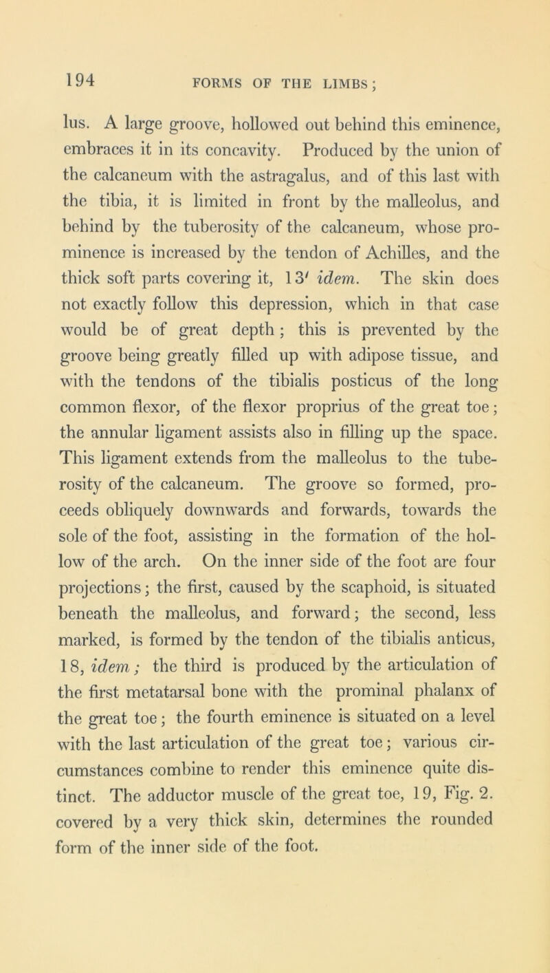 lus. A large groove, hollowed out behind this eminence, embraces it in its concavity. Produced by the union of the calcaneum with the astragalus, and of this last with the tibia, it is limited in front by the malleolus, and behind by the tuberosity of the calcaneum, whose pro- minence is increased by the tendon of Achilles, and the thick soft parts covering it, 13' idem. The skin does not exactly follow this depression, which in that case would be of great depth; this is prevented by the groove being greatly filled up with adipose tissue, and with the tendons of the tibialis posticus of the long common flexor, of the flexor proprius of the great toe; the annular ligament assists also in filling up the space. This ligament extends from the malleolus to the tube- rosity of the calcaneum. The groove so formed, pro- ceeds obliquely downwards and forwards, towards the sole of the foot, assisting in the formation of the hol- low of the arch. On the inner side of the foot are four projections; the first, caused by the scaphoid, is situated beneath the malleolus, and forward; the second, less marked, is formed by the tendon of the tibialis anticus, 18, idem; the third is produced by the articulation of the first metatarsal bone with the prominal phalanx of the great toe; the fourth eminence is situated on a level with the last articulation of the great toe; various cir- cumstances combine to render this eminence quite dis- tinct. The adductor muscle of the great toe, 19, Fig. 2. covered by a very thick skin, determines the rounded form of the inner side of the foot.