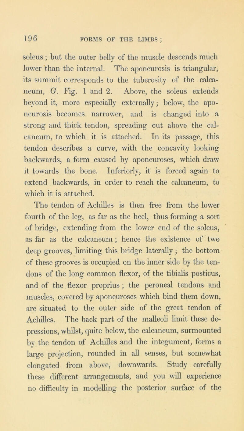 soleus; but the outer belly of the muscle descends much lower than the internal. The aponeurosis is triangular, its summit corresponds to the tuberosity of the calca- neum, G. Fig. 1 and 2. Above, the soleus extends beyond it, more especially externally; below, the apo- neurosis becomes narrower, and is changed into a strong and thick tendon, spreading out above the cal- caneum, to which it is attached. In its passage, this tendon describes a curve, with the concavity looking backwards, a form caused by aponeuroses, which draw it towards the bone. Inferiorly, it is forced again to extend backwards, in order to reach the calcaneum, to which it is attached. The tendon of Achilles is then free from the lower fourth of the leg, as far as the heel, thus forming a sort of bridge, extending from the lower end of the soleus, as far as the calcaneum; hence the existence of two deep grooves, limiting this bridge laterally ; the bottom of these grooves is occupied on the inner side by the ten- dons of the long common flexor, of the tibialis posticus, and of the flexor proprius; the peroneal tendons and muscles, covered by aponeuroses which bind them down, are situated to the outer side of the great tendon of Achilles. The back part of the malleoli limit these de- pressions, whilst, quite below, the calcaneum, surmounted by the tendon of Achilles and the integument, forms a large projection, rounded in all senses, but somewhat elongated from above, downwards. Study carefully these different arrangements, and you will experience no difficulty in modelling the posterior surface of the