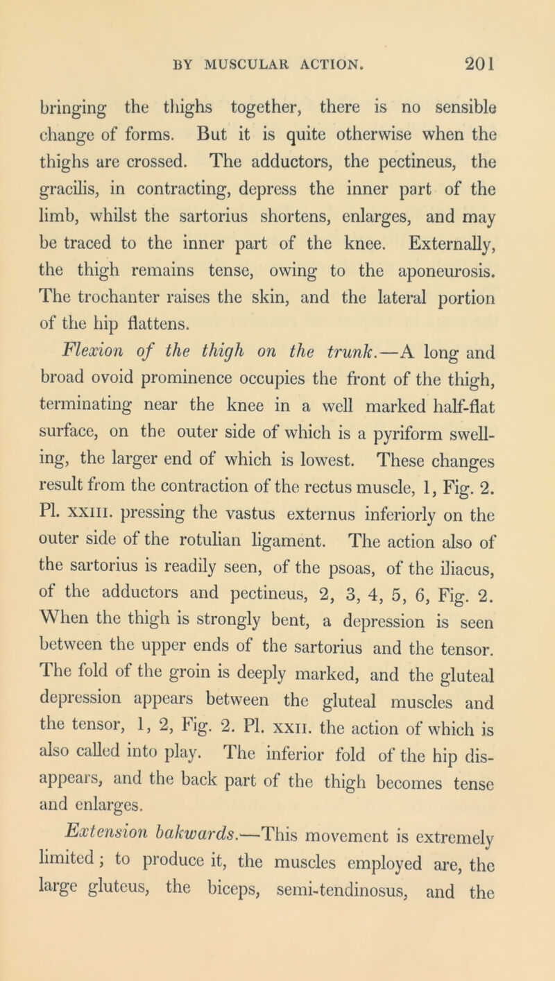 bringing the thighs together, there is no sensible change of forms. But it is quite otherwise when the thighs are crossed. The adductors, the pectineus, the gracilis, in contracting, depress the inner part of the limb, whilst the sartorius shortens, enlarges, and may be traced to the inner part of the knee. Externally, the thigh remains tense, owing to the aponeurosis. The trochanter raises the skin, and the lateral portion of the hip flattens. Flexion of the thigh on the trunk.—A long and broad ovoid prominence occupies the front of the thigh, terminating near the knee in a well marked half-flat surface, on the outer side of which is a pyriform swell- ing, the larger end of which is lowest. These changes result from the contraction of the rectus muscle, 1, Fig. 2. PI. xxm. pressing the vastus externus inferiorly on the outer side of the rotulian ligament. The action also of the sartorius is readily seen, of the psoas, of the iliacus, of the adductors and pectineus, 2, 3, 4, 5, 6, Fig. 2. When the thigh is strongly bent, a depression is seen between the upper ends of the sartorius and the tensor. The fold of the groin is deeply marked, and the gluteal depression appears between the gluteal muscles and the tensor, 1, 2, Fig. 2. PL xxii. the action of which is also called into play. The inferior fold of the hip dis- appears, and the back part of the thigh becomes tense and enlarges. Extension bakwards.—This movement is extremely limited ; to produce it, the muscles employed are, the large gluteus, the biceps, semi-tendinosus, and the