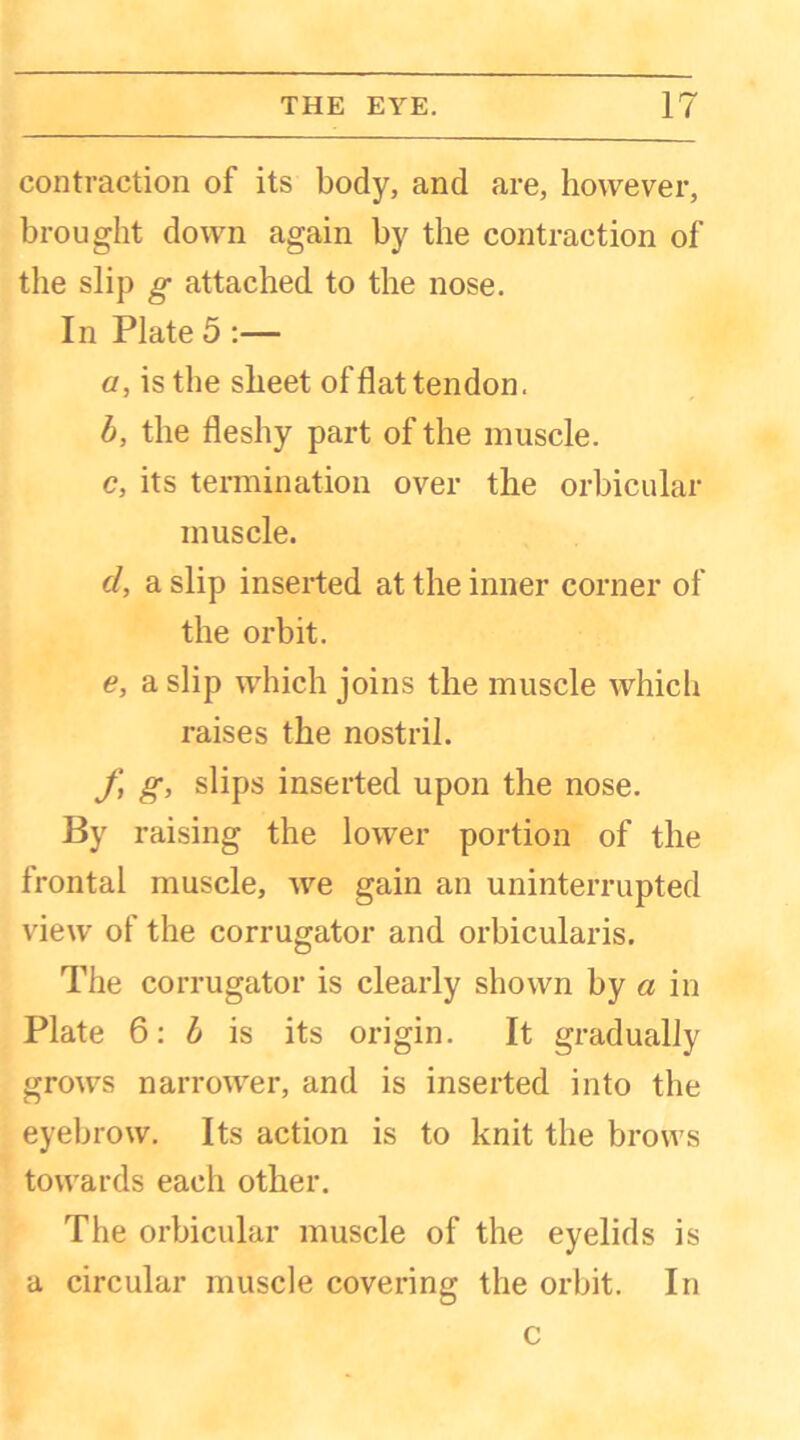 contraction of its body, and are, however, brought down again by the contraction of the slip g attached to the nose. In Plate 5 :— a, is the sheet of flat tendon. b, the fleshy part of the muscle. c, its termination over the orbicular muscle. d, a slip inserted at the inner corner of the orbit. e, a slip which joins the muscle which raises the nostril. f g, slips inserted upon the nose. By raising the lower portion of the frontal muscle, we gain an uninterrupted view of the corrugator and orbicularis. The corrugator is clearly shown by a in Plate 6: b is its origin. It gradually grows narrower, and is inserted into the eyebrow. Its action is to knit the brows towards each other. The orbicular muscle of the eyelids is a circular muscle covering the orbit. In c