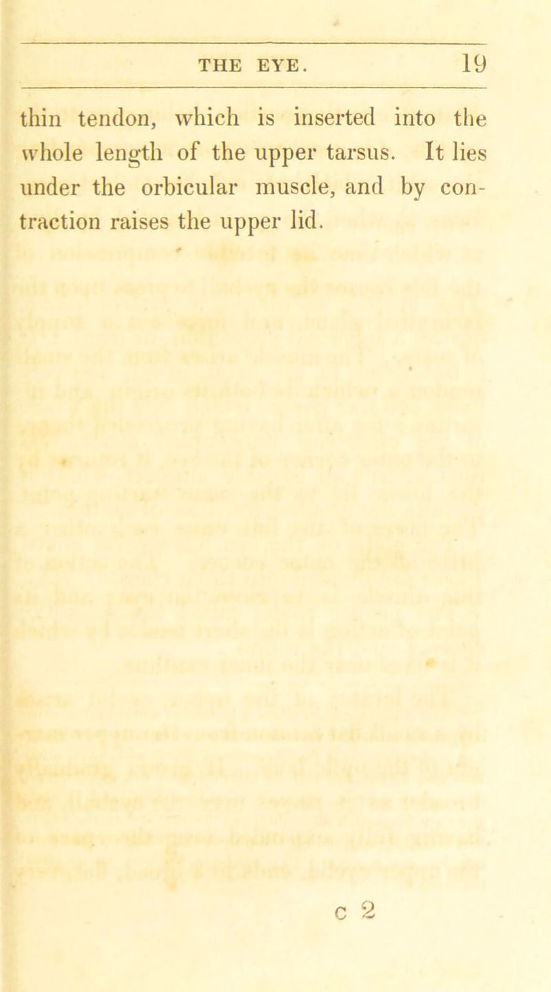 thin tendon, which is inserted into the whole length of the upper tarsus. It lies under the orbicular muscle, and by con- traction raises the upper lid.