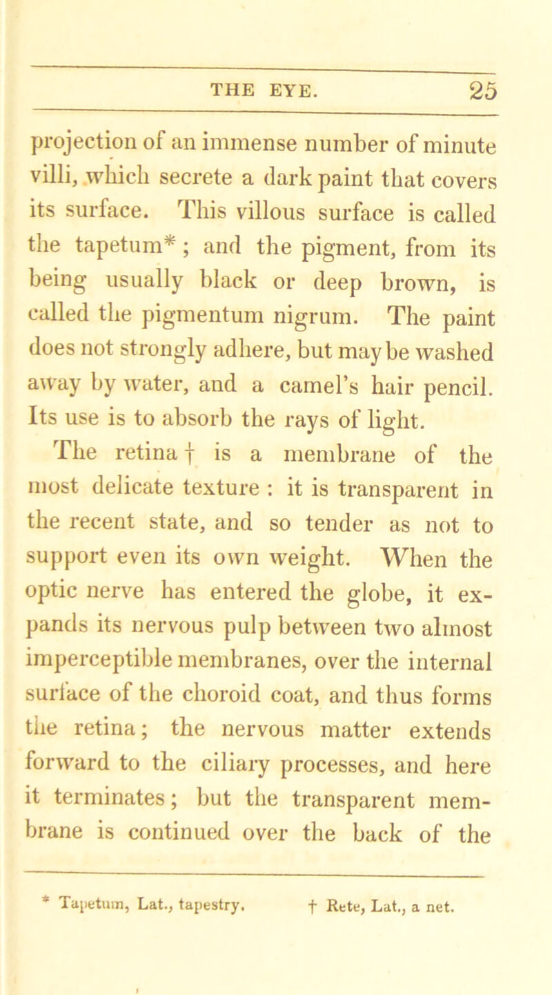 projection of an immense number of minute villi, which secrete a dark paint that covers its surface. This villous surface is called the tapetum*; and the pigment, from its being usually black or deep brown, is called the pigmentum nigrum. The paint does not strongly adhere, but maybe washed away by water, and a camel’s hair pencil. Its use is to absorb the rays of light. The retina | is a membrane of the most delicate texture : it is transparent in the recent state, and so tender as not to support even its own weight. When the optic nerve has entered the globe, it ex- pands its nervous pulp between two almost imperceptible membranes, over the internal surface of the choroid coat, and thus forms the retina; the nervous matter extends forward to the ciliary processes, and here it terminates; but the transparent mem- brane is continued over the back of the * Tapettim, Lat., tapestry. f Rete, Lat., a net.