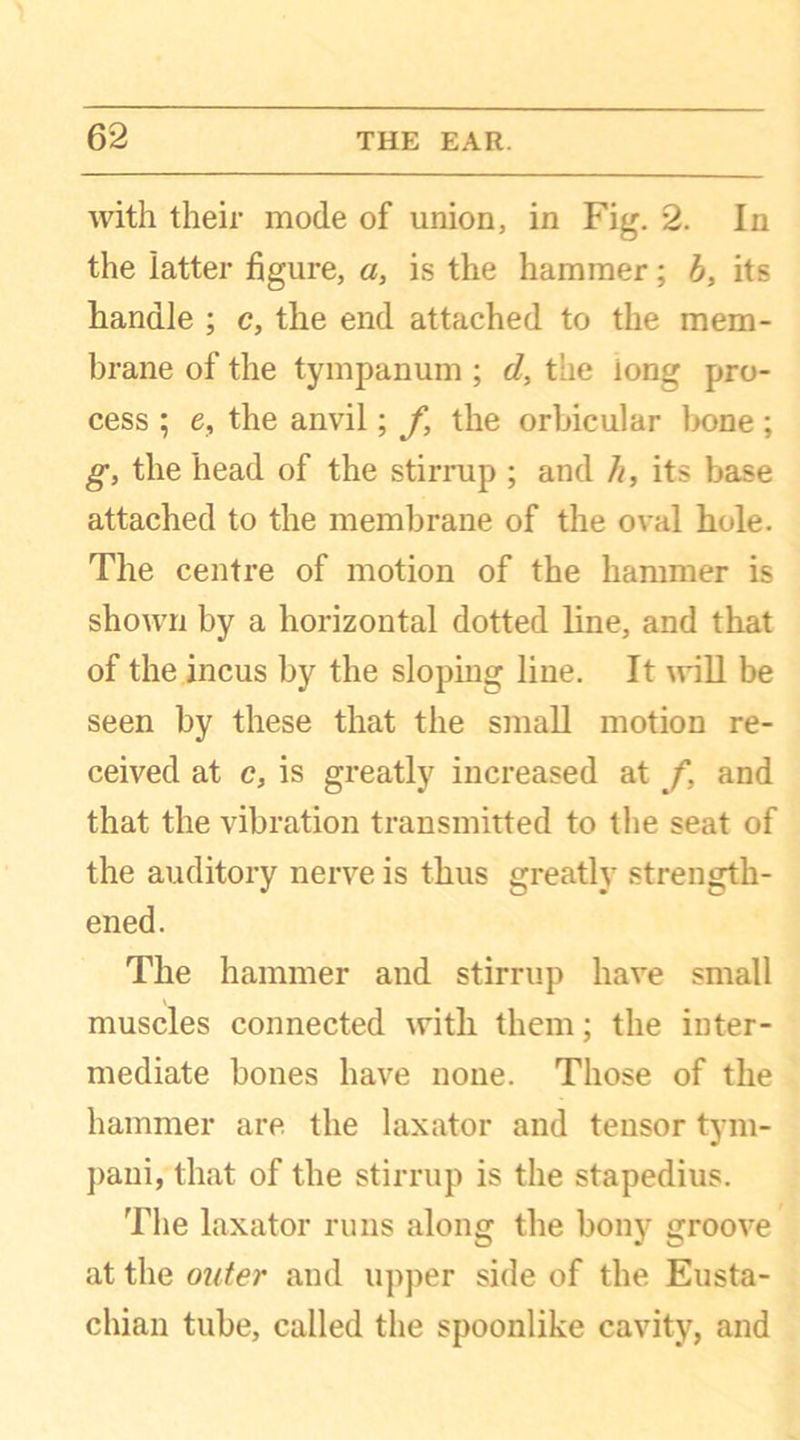 with their mode of union, in Fig. 2. In the iatter figure, a, is the hammer; b, its handle ; c, the end attached to the mem- brane of the tympanum ; d, the iong pro- cess ; e, the anvil; f, the orbicular bone; g, the head of the stirrup ; and h, its base attached to the membrane of the oval hole. The centre of motion of the hammer is shown by a horizontal dotted line, and that of the incus by the sloping line. It will be seen by these that the small motion re- ceived at c, is greatly increased at f, and that the vibration transmitted to the seat of the auditory nerve is thus greatly strength- ened. The hammer and stirrup have small muscles connected with them; the inter- mediate bones have none. Those of the hammer are the laxator and tensor tym- pani, that of the stirrup is the stapedius. The laxator runs along the bony groove at the outer and upper side of the Eusta- chian tube, called the spoonlike cavity, and