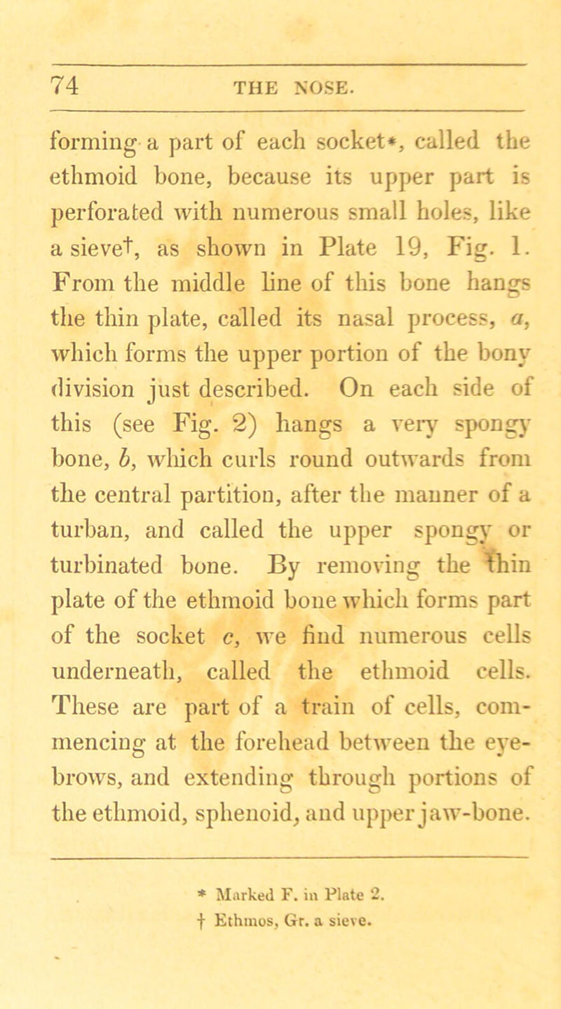 forming a part of each socket*, called the ethmoid bone, because its upper part is perforated with numerous small holes, like a sieve!, as shown in Plate 19, Fig. 1. From the middle line of this bone hangs the thin plate, called its nasal process, a, which forms the upper portion of the bony division just described. On each side of this (see Fig. 2) hangs a very spongy bone, b, which curls round outwards from the central partition, after the manner of a turban, and called the upper spongy or turbinated bone. By removing the thin plate of the ethmoid bone which forms part of the socket c, we find numerous cells underneath, called the ethmoid cells. These are part of a train of cells, com- mencing at the forehead between the eye- brows, and extending through portions of the ethmoid, sphenoid, and upper jaw-bone. * Marked F. in Plate 2. f Ethinos, Gr. a sieve.