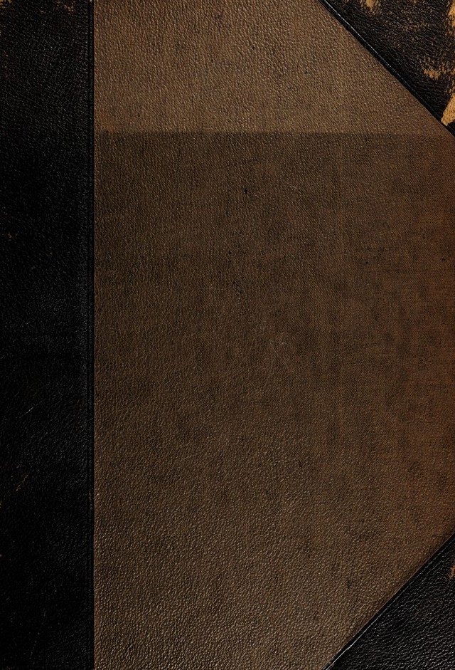 No text description is available for this image