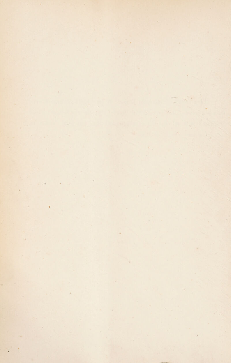 \ l l 4 i « \ ß \ »> «• I