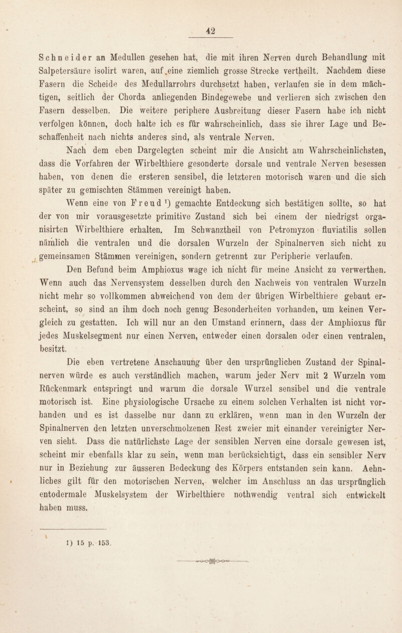 Schneider an Medullen gesehen hat, die mit ihren Nerven durch Behandlung mit Salpetersäure isolirt waren, aufveine ziemlich grosse Strecke vertheilt. Nachdem diese Fasern die Scheide des Medullarrohrs durchsetzt haben, verlaufen sie in dem mäch- tigen, seitlich der Chorda anliegenden Bindegewebe und verlieren sich zwischen den Fasern desselben. Die weitere periphere Ausbreitung dieser Fasern habe ich nicht verfolgen können, doch halte ich es für wahrscheinlich, dass sie ihrer Lage und Be- schaffenheit nach nichts anderes sind, als ventrale Nerven. Nach dem eben Dargelegten scheint mir die Ansicht am Wahrscheinlichsten, dass die Vorfahren der Wirbelthiere gesonderte dorsale und ventrale Nerven besessen haben, von denen die ersteren sensibel, die letzteren motorisch waren und die sich später zu gemischten Stämmen vereinigt haben. Wenn eine von Freud1) gemachte Entdeckung sich bestätigen sollte, so hat der von mir vorausgesetzte primitive Zustand sich bei einem der niedrigst orga- nisirten Wirbelthiere erhalten. Im Schwanztheil von Petromyzon fluviatilis sollen nämlich die ventralen und die dorsalen Wurzeln der Spinalnerven sich nicht zu gemeinsamen Stämmen vereinigen, sondern getrennt zur Peripherie verlaufen. Den Befund beim Amphioxus wage ich nicht für meine Ansicht zu verwerthen. Wenn auch das Nervensystem desselben durch den Nachweis von ventralen Wurzeln nicht mehr so vollkommen abweichend von dem der übrigen Wirbelthiere gebaut er- scheint, so sind an ihm doch noch genug Besonderheiten vorhanden, um keinen Ver- gleich zu gestatten. Ich will nur an den Umstand erinnern, dass der Amphioxus für jedes Muskelsegment nur einen Nerven, entweder einen dorsalen oder einen ventralen, besitzt. Die eben vertretene Anschauung über den ursprünglichen Zustand der Spinal- nerven würde es auch verständlich machen, warum jeder Nerv mit 2 Wurzeln vom Rückenmark entspringt und warum die dorsale Wurzel sensibel und die ventrale motorisch ist. Eine physiologische Ursache zu einem solchen Verhalten ist nicht vor- handen und es ist dasselbe nur dann zu erklären, wenn man in den Wurzeln der Spinalnerven den letzten unverschmolzenen Rest zweier mit einander vereinigter Ner- ven sieht. Dass die natürlichste Lage der sensiblen Nerven eine dorsale gewesen ist, scheint mir ebenfalls klar zu sein, wenn man berücksichtigt, dass ein sensibler Nerv nur in Beziehung zur äusseren Bedeckung des Körpers entstanden sein kann. Aehn- liches gilt für den motorischen Nerven, welcher im Anschluss an das ursprünglich entodermale Muskelsystem der Wirbelthiere nothwendig ventral sich entwickelt haben muss. 1) 15 p. 153.