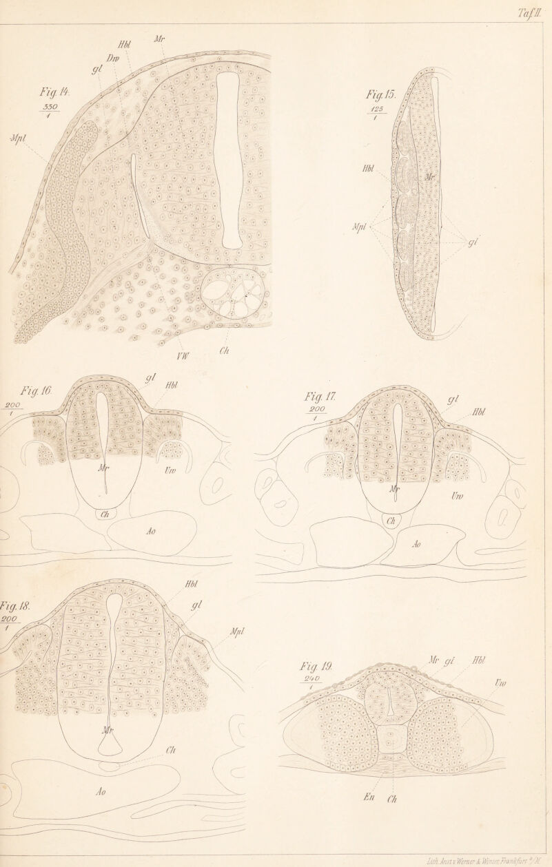 Hbl Mr - . •: ; . /.V ' ' 0 ■ ■ - 'J Taß