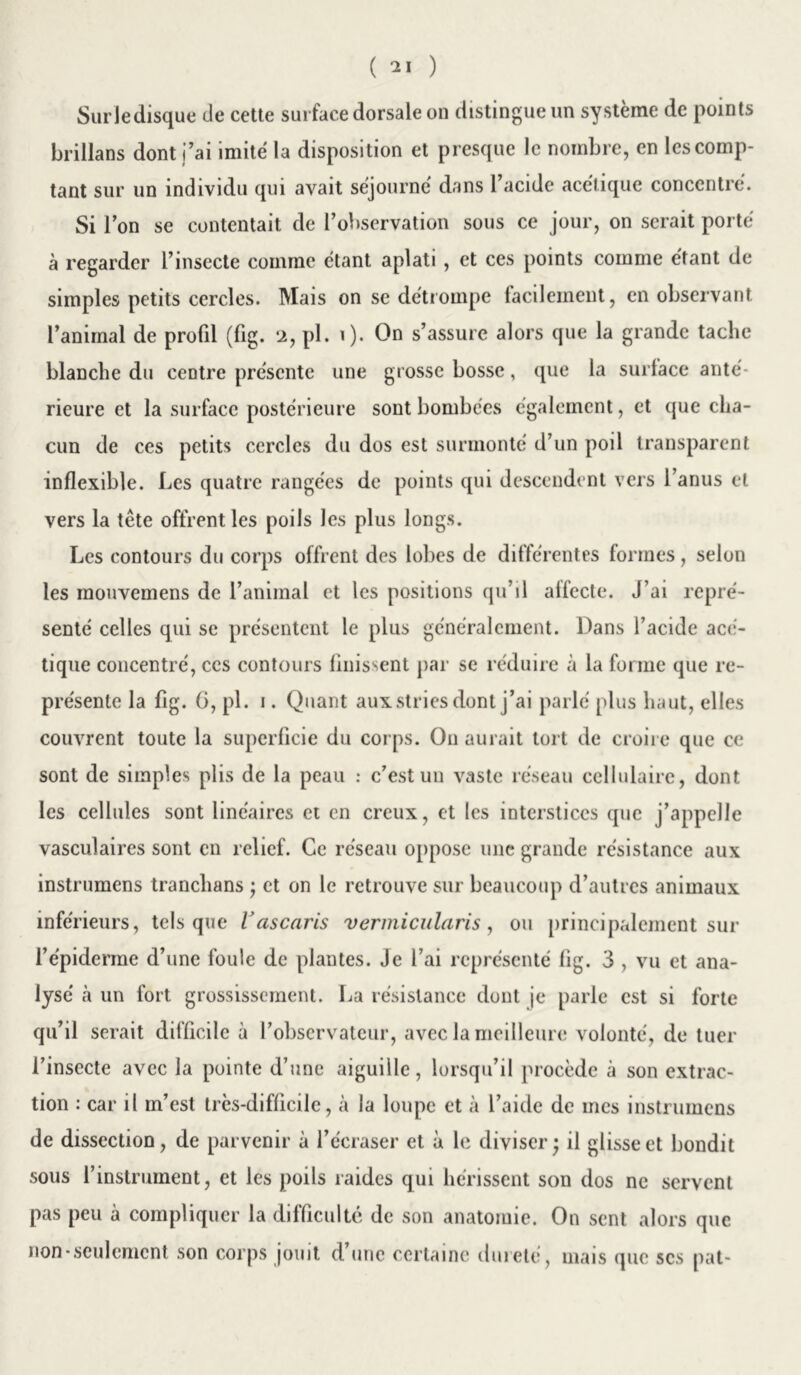 Sur le disque de cette surface dorsale on distingue un système de points brillans dont j’ai imité la disposition et presque le nombre, en les comp- tant sur un individu qui avait séjourné dans l’acide acétique concentré. Si l’on se contentait de l’observation sous ce jour, on serait porté à regarder l’insecte comme étant aplati , et ces points comme étant de simples petits cercles. Mais on se détrompe facilement, en observant l’animal de profil (fig. 2, pl. 1). On s’assure alors que la grande tache blanche du centre présente une grosse bosse, que la surface anté- rieure et la surface postérieure sont bombées également, et que cha- cun de ces petits cercles du dos est surmonté d’un poil transparent inflexible. Les quatre rangées de points qui descendent vers l’anus et vers la tête offrent les poils les plus longs. Les contours du corps offrent des lobes de différentes formes, selon les raouvemens de l’animal et les positions qu’il allecte. J’ai repré- senté celles qui se présentent le plus généralement. Dans l’acide acé- tique concentré, ces contours finissent par se réduire à la forme que re- présente la fig. G, pl. i. Quant aux stries dont j’ai parlé plus haut, elles couvrent toute la superficie du corps. On aurait tort de croire que ce sont de simples plis de la peau : c’est un vaste réseau cellulaire, dont les cellules sont linéaires et en creux, et les interstices que j’appelle vasculaires sont en relief. Ce réseau oppose une grande résistance aux instrumens tranchans j et on le retrouve sur beaucoup d’autres animaux inférieurs, tels que l’ascaris vermicularis, ou principalement sur l’épiderme d’une foule de plantes. Je l’ai représenté fig. 3 , vu et ana- lysé à un fort grossissement. La résistance dont je parle est si forte qu’il serait difficile à l’observateur, avec la meilleure volonté, de tuer l’insecte avec la pointe d’une aiguille, lorsqu’il procède à son extrac- tion : car il m’est très-difficile, à la loupe et à l’aide de mes instrumens de dissection, de parvenir à l’écraser et à le diviser; il glisse et bondit sous l’instrument, et les poils raides qui hérissent son dos ne servent pas peu à compliquer la difficulté de son anatomie. On sent alors que non-seulement son corps jouit d’une certaine dureté, mais que scs pat-