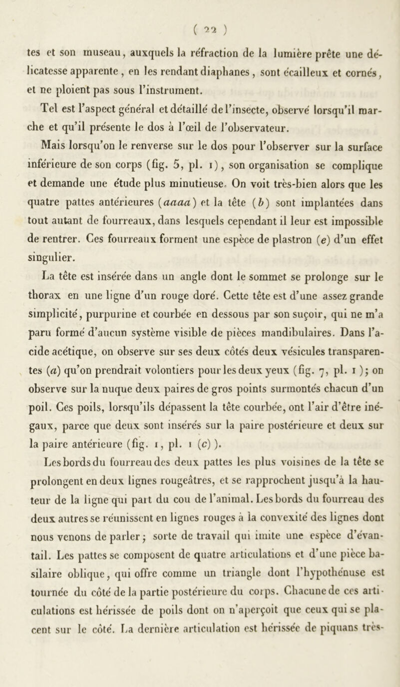 ( 2*2 ) tes et son museau, auxquels la réfraction de la lumière prête une dé- licatesse apparente , en les rendant diaphanes , sont écailleux et cornés, et ne ploient pas sous l’instrument. Tel est l’aspect général et détaillé de l’insecte, observé lorsqu’il mar- che et qu’il présente le dos à l’œil de l’observateur. Mais lorsqu’on le renverse sur le dos pour l’observer sur la surface inférieure de son corps (fig. 5, pl. i), son organisation se complique et demande une étude plus minutieuse. On voit très-bien alors que les quatre pattes antérieures (aaaa) et la tête (b) sont implantées dans tout autant de fourreaux, dans lesquels cependant il leur est impossible de rentrer. Ces fourreaux forment une espèce de plastron (e) d’un effet singulier. La tête est insérée dans un angle dont le sommet se prolonge sur le thorax en une ligne d’un rouge doré. Cette tête est d’une assez grande simplicité, purpurine et courbée en dessous par son suçoir, qui ne m’a paru formé d’aucun système visible de pièces mandibulaires. Dans l’a- cide acétique, on observe sur ses deux côtés deux vésicules transparen- tes (a) qu’on prendrait volontiers pour les deux yeux (fig. 7, pl. 1 ); on observe sur la nuque deux paires de gros points surmontés chacun d’un poil. Ces poils, lorsqu’ils dépassent la tête courbée, ont l’air d’être iné- gaux, parce que deux sont insérés sur la paire postérieure et deux sur la paire antérieure (fig. i, pl. 1 (c) ). Les bords du fourreau des deux pattes les plus voisines de la tête se prolongent en deux lignes rougeâtres, et se rapprochent jusqu’à la hau- teur de la ligne qui paît du cou de l’animal. Les bords du fourreau des deux autres se réunissent en lignes rouges à la convexité des lignes dont nous venons de parler -, sorte de travail qui imite une espèce d’évan- tail. Les pattes se composent de quatre articulations et d’une pièce ba- silaire oblique, qui offre comme un triangle dont l’hypothénuse est tournée du côté de la partie postérieure du coips. Chacune de ces arti- culations est hérissée de poils dont on n’aperçoit que ceux qui se pla- cent sur le côté. La dernière articulation est hérissée de piquans très-