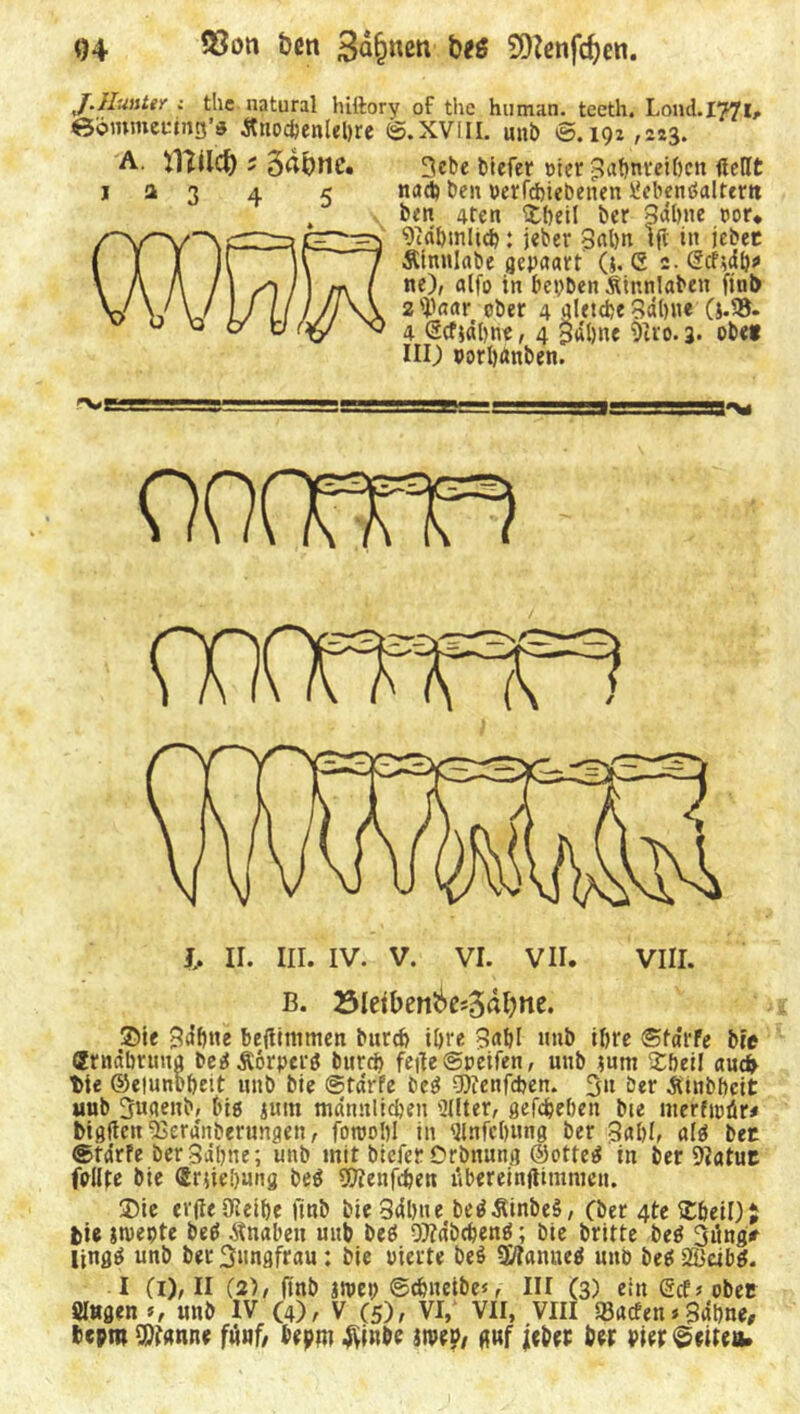 04 S3ön öen 3%^ beö SDZenfdjen. JJIuuttr i thc natural hiftory of thc human, teeth. Loncl.I??!* ©ömmeumg’d Änocfceniebre 6.XV1IL unb ©.191,253. a. VftUcb ? gdönc. 3ebe btefer Pier gabttreibcn itcfft j a 3 4 5 na* beit perfcbiebenen Üebenöaltertt 4 beit 4ten ©bei! ber 3^)ne por* 9tfli)tnlt*: jeber 3nl)tt tfe in jebet l j Äinnlabe gepaart (j. G 2. ©cftdi)* I n\ i ne-*' a^° *n bepben Sittnlabett finb l/J\\ 2tyaar ober 4 glet*e 3dl)ite (j.93. x/ ^ 4 <5cfi«l>ne, 4 34l)tte 9Zto. 3* obef III) porl)«ttben. 1 II b II. III. IV. V. VI. VII. VIII. B. öletbenbe-gdöne. ©ie betfitnmen bttrch i&re Satjl unb iljre ©fa'rfe bte Srnäbruua berfÄorpenJ bur* feile ©reifen, uttb ?um ©bei! aucfr t>ie ©elunbbeit unb bie ©tarife be$ 9)ienfd>en. 3» ber Ämbbcit uub 3u<tenb, bis jitm männlichen 2IUer, gefdjeben bie nterftpür* bigftctt'äSera'nberungen, fotppbl in Slnfcbtmg ber al$ bet ©tdrfe ber Salme; unb mit bicfer Orbttung @otte$ in ber 9iatut feilte bie Snielmng be$ 9D?enf*en übereinftimmen. ©ie evjleDfieibe finb bie Salme be$$inbe$, (ber 4te ©&ei[)$ fcie jtrepte betf Knaben unb beö 0)?<ib*en$; bie britte be$ 3i5ng/ lingtf unb ber 3nngfrau: bie vierte be$ $/?anue$ uttb be$ 2Bdbg. I Ci)/ II (2), (mb jrpep ©ctmeibe*, III (3) ein (5cf< ober Stegen», unb IV (4), V (5), VI, VII, VIII SBacfen * Salme, bcpro Spanne fünf/ bepiu ^inbe we», guf je&er ber Pier ©eite*