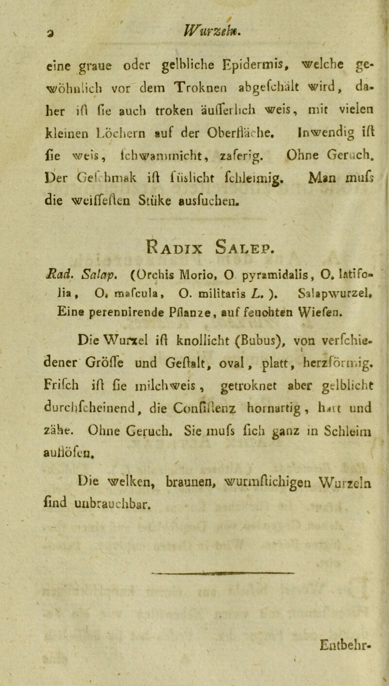 3 eine graue oder gelbliche Epidermis, welche ge- wöhnlich vor dem Troknen abgefohält wird, da- her ifl fie auch troken äußerlich weis, mit vielen kleinen Lochern auf der Oberfläche, Inwendig ift fie weis, ichwammicht, zafeng. Ohne Ger.ch. Der Gel hmak ifl iiislicht fchleiniig. Man mufs die weiffeflen Stuke ausfuchen. Radix Salep. Rad. Salap. (Orchis Morio, O pyramidalis, O. lfltifo- lia, 0< mafeula, O. militaris L. ). Sa’.apwurzel» Eine perennirende Pflanze, auf feuchten Wiefen. Die Wurxel ifl knollicht (Bubus), von verfchic- dener Große und Geftalt, oval, platt, herzförmig. Frifch ifl fle milchweis, getroknet aber gelblicht dureflfeheinend, die Conflilenz hornartig, halt und zähe. Ohne Geruch. Sie mufs fleh ganz in Schleim auflöfeu. Die welken, braunen, wurmflichigen Wurzeln find unbrauchbar. Entbehr-