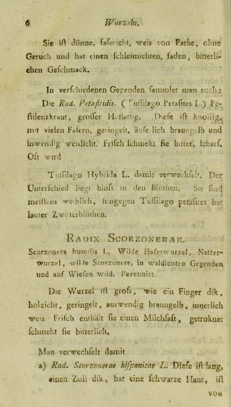 Sie iA dünne, fafertcht, weis von Farbe, ebne Geruch und hat einen fchleiinichten, faden, bitteiii- chen GefcUnutck» In verfchtedenen Gebenden fammlet man such; Die Rad. Petoßtidis. ( 'uflilago Fetafites I) Fe» flilenzkraut, greller H-liattig. Dtefe ift knollig,, mit vielen Fatern, geringelt, ä lieh bräunt’-lb und inwendig weitlicht. Frifch fchtnekt fie bitter, fcharf. Oft wird 'I uiniaeo HybrJda L. damit verwe,hft!\ Der Unterfchied Mein biofs in de» Pdüthen. Sie fad nieiücns we blicli, hingegen Tuffkago petafltes ha* lauter Zw: n-rblütiien. Radix Scorzonerae. Scorzonera hurnil.is l, Wilde Haferwurzcl, Natter- tvurzel, wille Scorzonere, in waldiclitin Gegenden und auf Wiefen wdd. Perennirt. Die Wurzel i(l grofs, T^ie ein Finger dik, holzicht, geringelt, auswendig braungelb, innerlich weis Frilch enthält fie einen Milchfaft, getrokuet fchtnekt fie bitterlich* Man verwechfelt damit *) Rad. Scor zonerae hifpanitae L. Diefe iftlsng, «inen Zoll dik, hat eine fchwarze Maut, iA VOüt