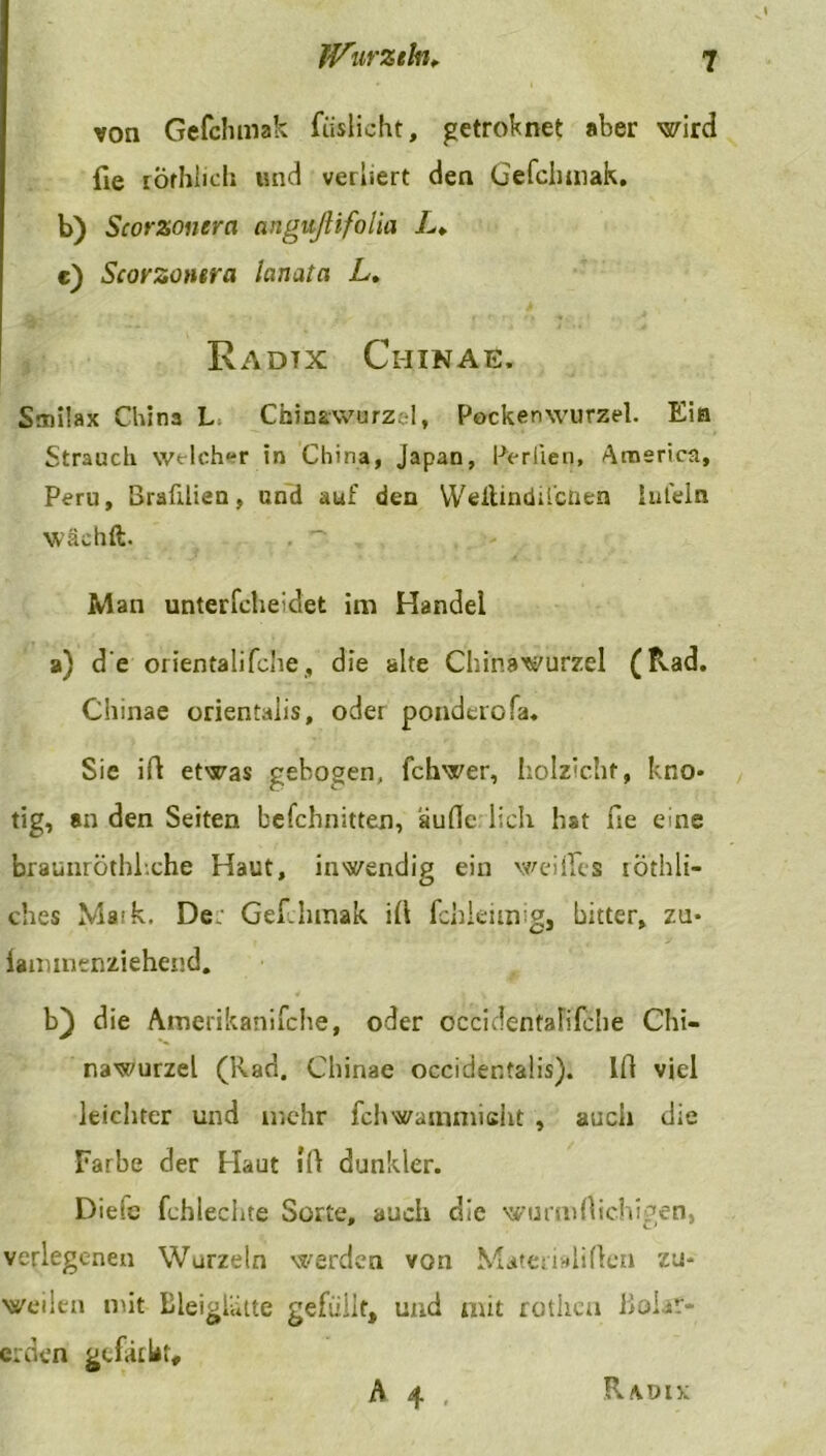 JVurzth, von Gefchmak füslicht, getroknet aber wird fie rorhlich mid verliert den Gefchmak. b) Scorzonera angußifolia />♦ c) Scorzonera laruxta L. Radtx Ciiinae. Smi!ax China L Chinawurzel, Pockenwurzel. Ein Strauch welcher in China, Japan, Perlien, America, Peru, ßrafilien, und auf den Wellindii’ctien iul'eln wach ft. . ~ M an unterfcheidet im Handel a) d e orientalifche, die alte Chinawurzel (Rad. Ciiinae orientalis, oder ponderofa. Sie ift etwas gebogen, fchwer, holzicht, kno- tig, an den Seiten befchnitten, äufle lieh hat fie eine braunrÖthlxhe Haut, inwendig ein weifte s röthli- ches Maik, De; Gef.Innak ift fchleimig, bitter, zu- iainmenziehend. b) die Amerikanifche, oder occidentalifche Chi- nawurzel (Rad. Chinae occider.talis). Ift viel leichter und mehr fchwammiciit , auch die Farbe der Haut «ft dunkler. Diefe fchlechte Sorte, auch die wurmftichigen, verlegenen Wurzeln werden von Materialiftcn zu- weilen mit Bieigliilte gefüllt, und mit rotheu Bohr- erden gcftular.