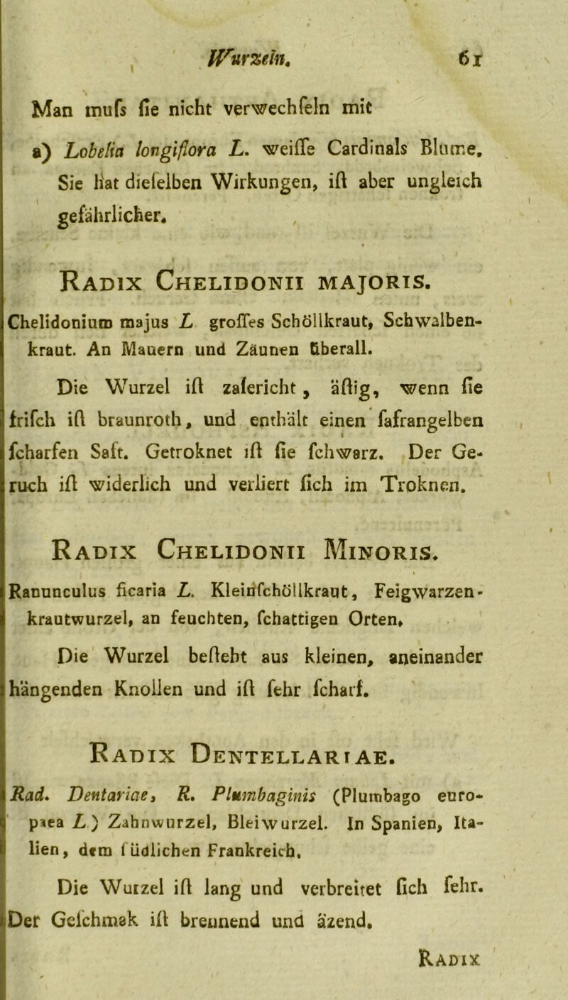 Man iTiufs He nicht verwechfeln mit a) Lobelia longißora L. weiße Cardinais Blume, Sie hat dieselben Wirkungen, ifl aber ungleich gefährlicher, Radix Chelidonii majoris. Chelidoniuro raajus L großes Schöllkraut, Schwalben- kraut. An Mauern und Zäunen überall. Die Wurzel ifl zafericht, äflig, wenn fie frifch ifi braunroth, und enthält einen fafrangelben fcharfen Salt. Getroknet ifl fie fchwarz. Der Ge- ruch ifl widerlich und verliert fich im Troknen. Radix Chelidonii Minoris. Rannnculus ficaria L. Kleinfchöllkraut, Feigwarzen- krautwurzel, an feuchten, fchattigen Orten, Die Wurzel befleht aus kleinen, aneinander hängenden Knollen und ifi fehr fcharf. Radix Dextellariae. Rad. Dentariae, R. Plmnbaginis (Plumbago euro- p*ea L) Zahnwurzel, Bleiwurzel. In Spanien, Ita- lien, d«m I üdlichen Frankreich. Die Wurzel ifl lang und verbreitet fich fehr. Der Gelchmak ifl brennend und äzend.