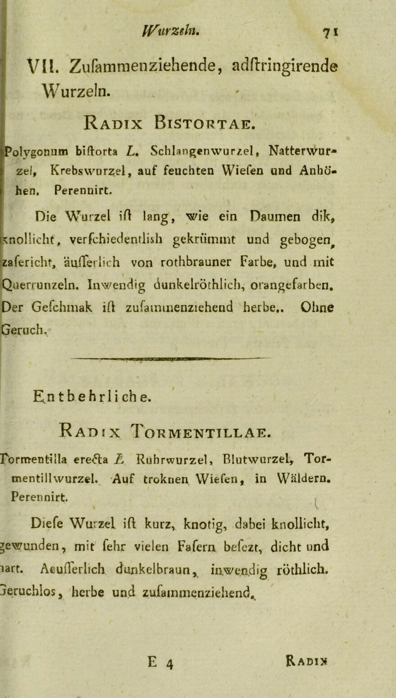 VII. Zufammen ziehende, adftringirende Wurzeln. Radix Bistortae. Polygonum biftorta L. Scblangenwurzel, Natterwur- zel, Krebswurzel, auf feuchten VViefen und Anhö- hen, Perennirt. Die Wurzel ift lang, wie ein Daumen dik, Lnollicht, verfchiedentlish gekrümmt und gebogen, zafericht, äußerlich von rothbrauner Farbe, und mit Querrunzeln. Inwendig dunkelröthiich, orangefarben. Der Gefchmak iß zufaimnenziehend herbe,. Ohne Geruch, -rnrnnw ^ — E.ntbehrli che. Radix Tormentjllae. Tornaentilla ere<5ta L Ruhrwurzel, Blutwurzel, Tor- mentillwurzel. Auf troknen VViefen, in Wäldern. Perennirt. Diefe Wurzel ift kurz, knotig, dabei knollicht, gewunden, mit fehr vielen Fafern befczt, dicht und lart. Aeuilerlich dunkelbraun, inwendig röthlich. jeruchlos, herbe und zufaimnenziehend.