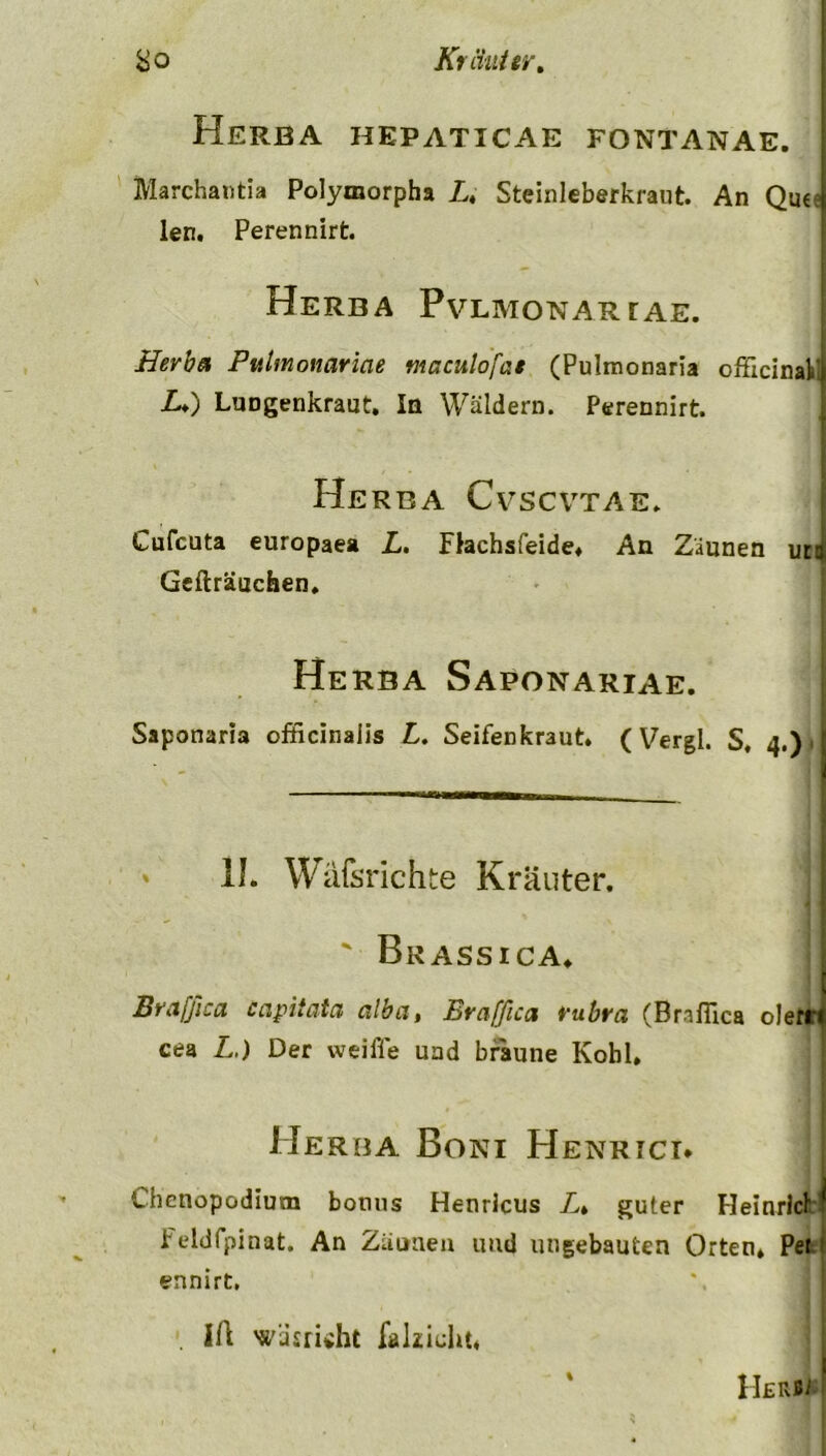 Herba hepaticae fontanae. i Marchantia Polymorpha Steinleberkraut. An Qu€e| len. Perennirt. Herba Pvlmonartae. Herba Pulmonariae macutofae (Pulmonaria officinalili L♦) Luogenkraut. In Wäldern. Perennirt. Herba Cvscvtae. Cufcuta europaea L. Flachsfeide* An Ziunen uc Gefträuchen. Herba Saponariae. Saponaria officinaiis L. Seifenkraut. ( Vergl. S, 4.).I 11 1J. Wafsrichte Kräuter. ' Br ASS I CA* : Brafßca capitata alba, Brafßca rubra (Brafiica olefM cea L.) Der weifte und bräune Kohl, Herba Boni Henrici» Chenopodium botius Henricus Lt guter Heinrich ^ Feldfpinat. An Zäunen und ungebauten Orten* Per i ennirt, IA wiisruht faizicht* 4 Her**!