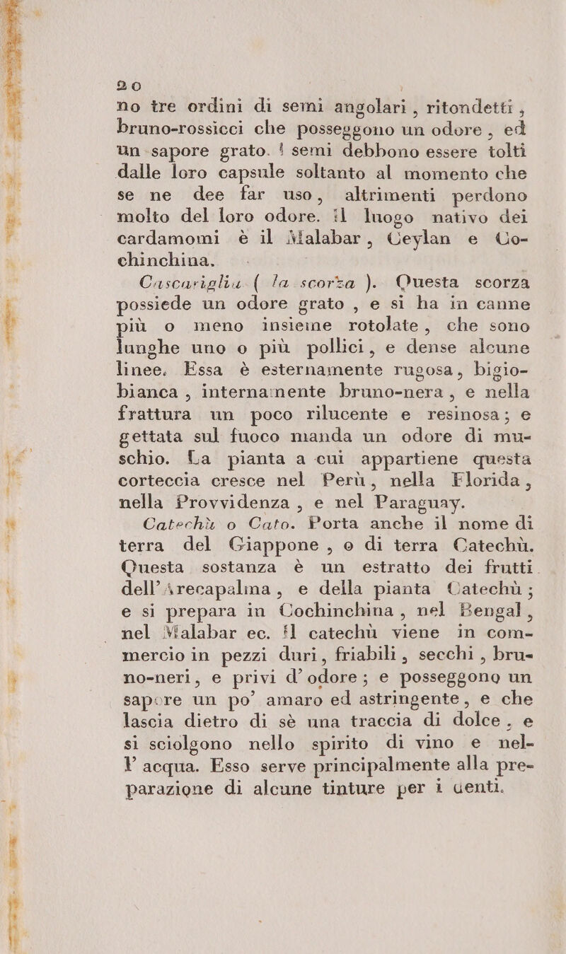 no tre ordini di semi angolari, ritondetti , bruno-rossicci che posseggono un odore , ed Un sapore grato. ! semi debbono essere tolti dalle loro capsule soltanto al momento che se ne dee far uso, altrimenti perdono molto del loro odore. il luogo nativo dei cardamomi è il Malabar, Geylan e Uo- chinchina. Cascarigliu ( la scorza ). Questa scorza possiede un odore grato , e si ha in canne più o meno insieine rotolate, che sono lunghe uno o più pollici, e dense alcune linee. Essa è esternamente rugosa, bigio- bianca , internamente bruno-nera, e nella frattura un poco rilucente e resinosa; e gettata sul fuoco manda un odore di mu- schio. La pianta a cui appartiene questa corteccia cresce nel Perù, nella Florida, nella Provvidenza , e nel Paraguay. Catechà o Cato. Porta anche il nome di terra del Giappone , o di terra Catechù. Questa. sostanza è un estratto dei frutti. dell’Arecapalma, e della pianta Catechù; e si prepara in Cochinchina, nel Bengal, nel Malabar ec. #1 catechù viene in com- mercio in pezzi duri, friabili, secchi , bru- no-neri, e privi d’ odore; e posseggono un sapore un po’ amaro ed astringente, e che lascia dietro di sè una traccia di dolce . e si sciolgono nello spirito di vino e nel- Y acqua. Esso serve principalmente alla pre- parazione di alcune tinture per i centi.