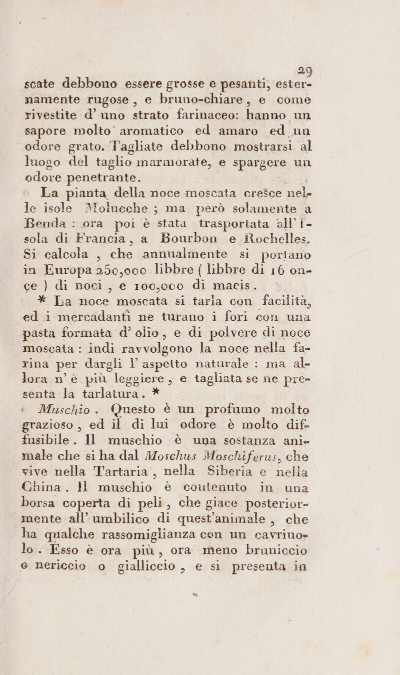 scate debbono essere grosse e rica namente rugose, e bruno-chiare, e come rivestite d’ uno strato farinaceo: hanno un sapore molto’ aromatico ed amaro ed un odore grato. Tagliate debbono mostrarsi al luogo del taglio marmorate, e spargere un odore penetrante. La pianta della noce moscata cresce nel- le isole Molueche ; ma però solamente a Benda : ora poi è stata trasportata all’ î- sola di Francia, a Bourbon e Rochelles. Si calcola , che annualmente si portano in Europa 250,000 libbre ( libbre di 16 on- ge ) di noci, e 100,000 di macis. * La noce moscata si taria con facilità, ed i mercadantì ne turano i fori con una pasta formata d° olio, e di polvere di noce moscata : indi ravvolgono la noce nella fa- rina per dargli Vv aspetto naturale : ma al lora n° è più leg ggiere , © tagliata se ne pre- senta la dui * +. Muschio. Questo è un profumo molto grazioso , ed il di lui odore è molto dif- fusibile. Il muschio è una sostanza ani» male che si ha dal Moschus Moschiferus, che vive nella Tartaria', nella Siberia e nella China. HM muschio è ‘coutenuto in una borsa coperta di peli, che giace posterior= mente all’ umbilico di quest’animale , che ha qualche rassomiglianza con nn cavrino» lo. Esso è ora più, ora meno bruniccio e nericcio 0 gialliccio » € sì presenta in