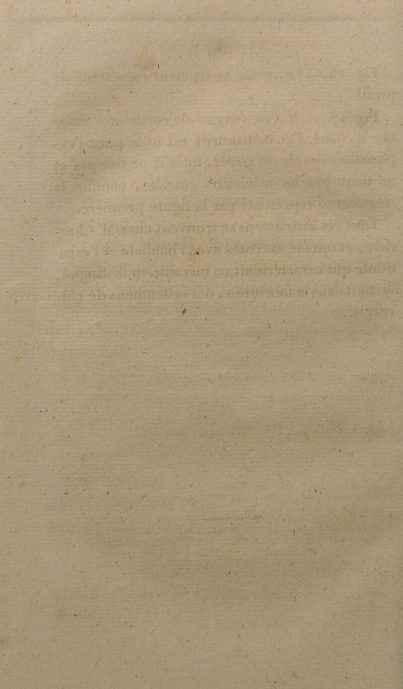 \ \ •; > - ✓ r / - - ■ i *<' \ 1 - >