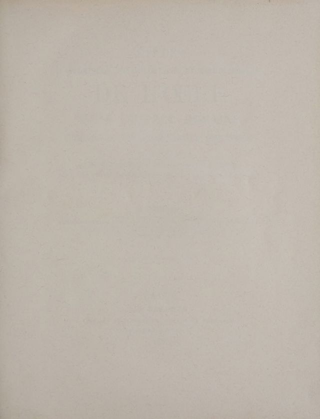 digitised image 3
