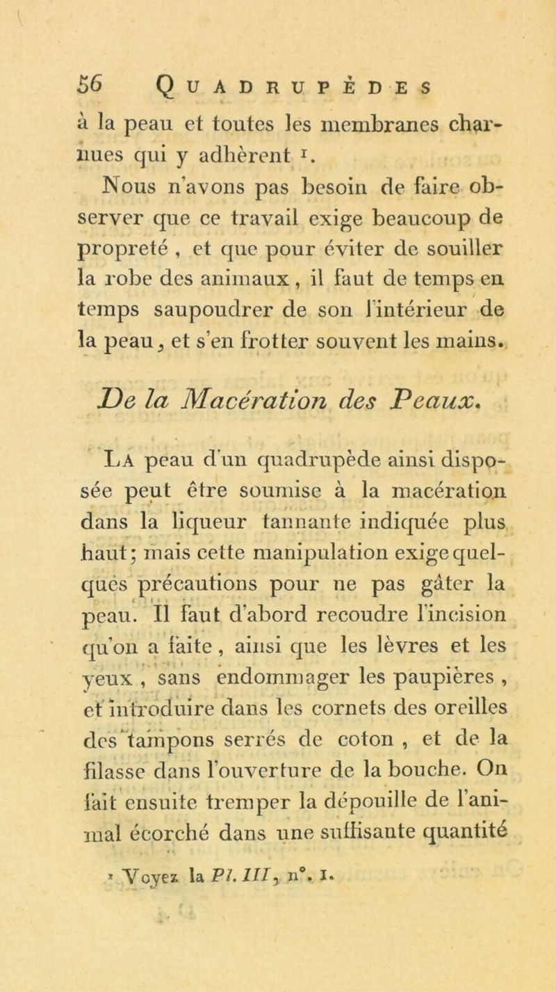 à la peau et toutes les membranes char- nues qui y adhèrent Nous n’avons pas besoin de faire ob- server que ce travail exige beaucoup de propreté , et que pour éviter de souiller la robe des animaux, il faut de temps en temps saupoudrer de son 1 intérieur de la peau5 et s’en frotter souvent les mains. De la Macération des Peaux. La peau d'un quadrupède ainsi dispo- sée peut être soumise à la macération dans la liqueur tannante indiquée plus haut; mais cette manipulation exige quel- ques précautions pour ne pas gâter la x i peau. Il faut d’abord recoudre l’incision qu’on a faite, ainsi que les lèvres et les yeux , sans endommager les paupières , et introduire dans les cornets des oreilles des tampons serrés de coton , et de la filasse dans l’ouverture de la bouche. On fait ensuite tremper la dépouille de 1 ani- mal écorché dans une suffisante quantité