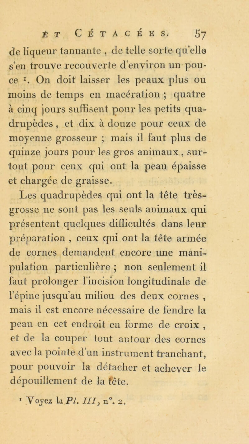 JS T CÉTACEES. £7 de liqueur tannante , de telle sorte qu’elle s’en trouve recouverte d’environ un pou- ce r. On doit laisser les peaux plus ou moins de temps en macération ; quatre à cinq jours suffisent pour les petits qua- drupèdes , et dix à douze pour ceux de moyenne grosseur ; mais il faut plus de quinze jours pour les gros animaux , sur- tout pour ceux qui ont la peau épaisse et chargée de graisse. lies quadrupèdes qui ont la tête très- grosse ne sont pas les seuls animaux qui présentent quelques difficultés dans leur préparation , ceux qui ont la tête armée de cornes demandent encore une mani- pulation particulière ; non seulement il faut prolonger 1 incision longitudinale de l’épine jusqu’au milieu des deux cornes , mais il est encore nécessaire de fendre la peau en cet endroit en forme de croix , et de la couper tout autour des cornes avec la pointe d’un instrument tranchant, pour pouvoir la détacher et achever le dépouillement de la tête.