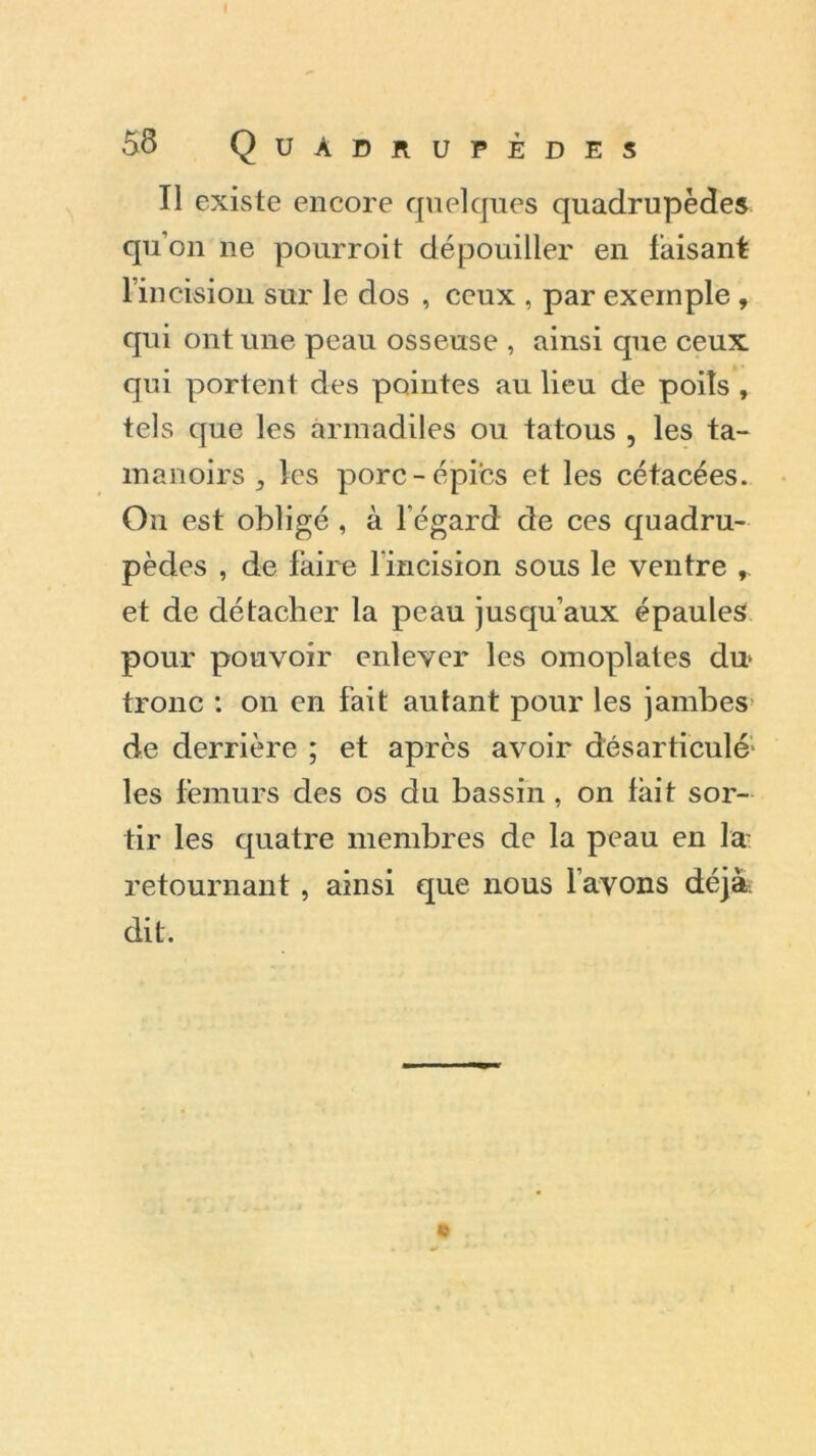 Il existe encore quelques quadrupèdes qu’on ne pourroit dépouiller en faisant rincision sur le dos , ceux , par exemple , qui ont une peau osseuse , ainsi que ceux qui portent des pointes au lieu de poils , tels que les armadiles ou tatous , les ta- manoirs , les porc-épies et les cétacées. Ou est obligé , à l’égard de ces quadru- pèdes , de faire l'incision sous le ventre ,, et de détacher la peau jusqu’aux épaules pour pouvoir enlever les omoplates du* tronc : on en fait autant pour les jambes de derrière ; et après avoir désarticulé les fémurs des os du bassin, on fait sor- tir les quatre membres de la peau en bc retournant , ainsi que nous lavons déjà, dit.