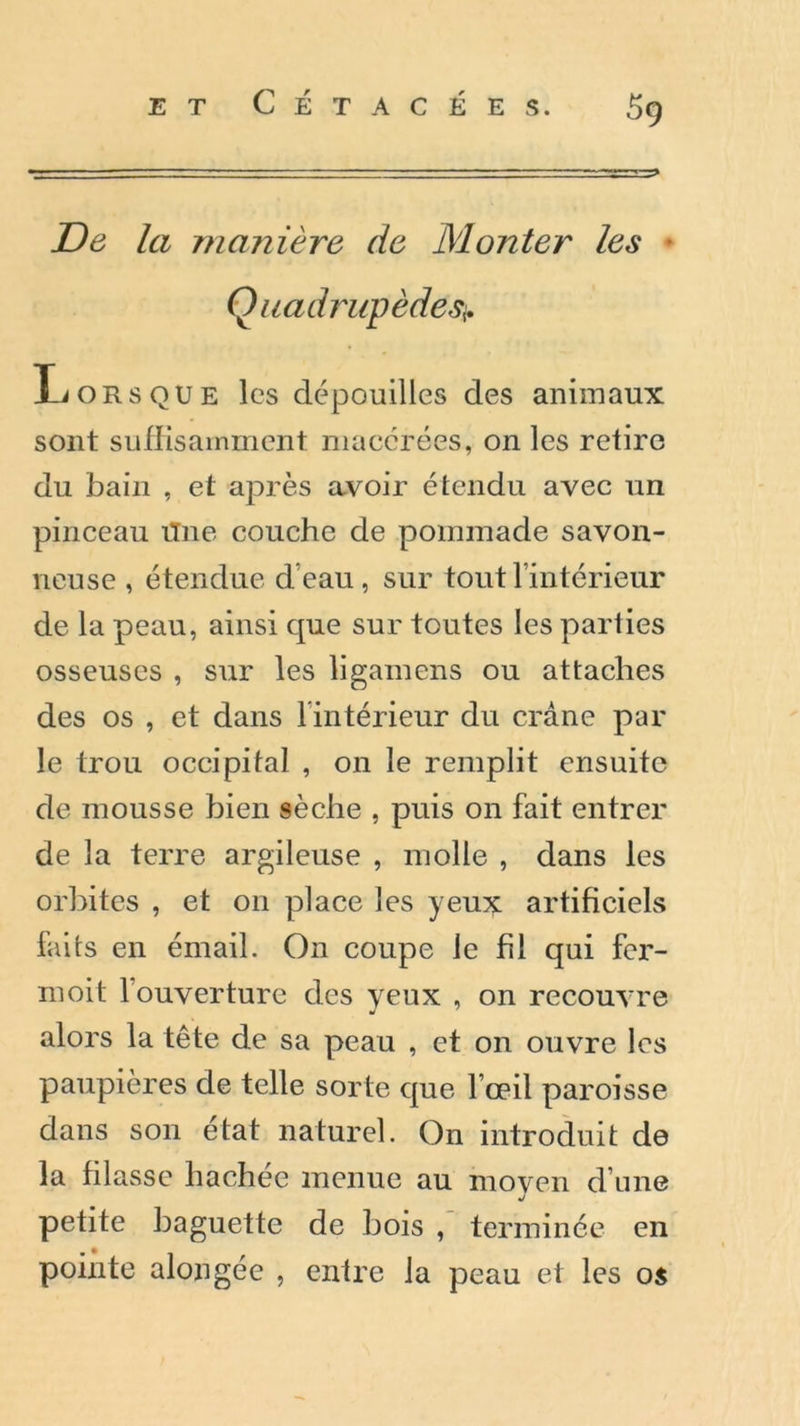 De la manière de Monter les Quadrupèdesv Lorsque les dépouilles des animaux sont suffisamment macérées, on les retire du bain , et après avoir étendu avec un pinceau tfne couche de pommade savon- neuse , étendue d'eau, sur tout l’intérieur de la peau, ainsi que sur toutes les parties osseuses , sur les ligamens ou attaches des os , et dans l’intérieur du crâne par le trou occipital , on le remplit ensuite de mousse bien sèche , puis on fait entrer de la terre argileuse , molle , dans les orbites , et 011 place les yeux artificiels faits en émail. On coupe le fil qui fer- moit l’ouverture des yeux , on recouvre alors la tête de sa peau , et on ouvre les paupières de telle sorte que l’œil paroisse dans son état naturel. On introduit de la filasse hachée menue au nioven d’une j petite baguette de bois , terminée en pointe alongée , entre la peau et les os