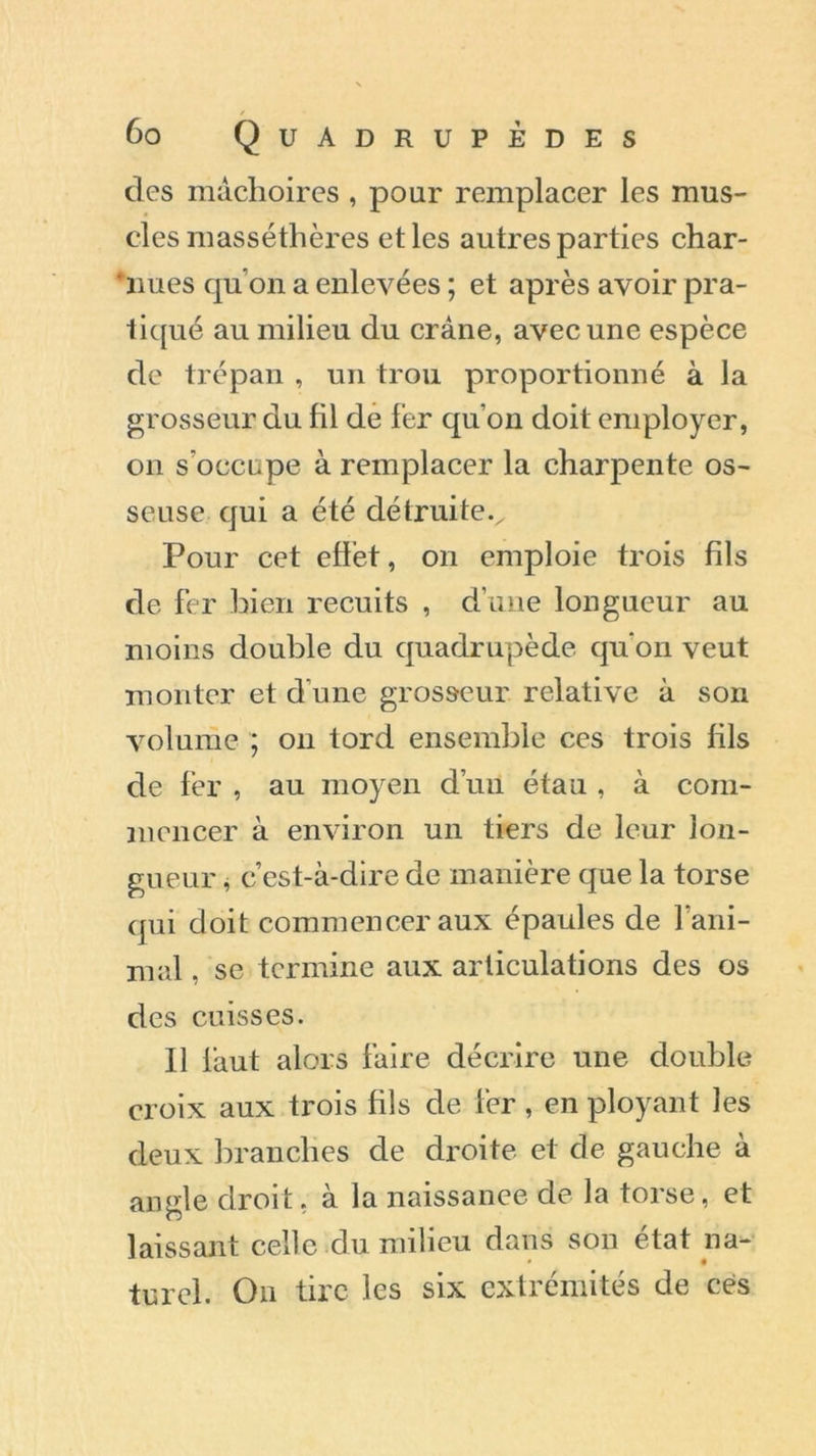 des mâchoires , pour remplacer les mus- cles masséthères et les autres parties char- ’nues quon a enlevées ; et après avoir pra- tiqué au milieu du crâne, avec une espèce de trépan , un trou proportionné à la grosseur du fil de fer qu'on doit employer, on s’occupe à remplacer la charpente os- seuse qui a été détruitev Pour cet effet, on emploie trois fils de fer bien recuits , d’une longueur au moins double du quadrupède qu'on veut monter et d'une grosseur relative à son volume ; on tord ensemble ces trois fils de fer , au moyen d’un étau , à com- mencer à environ un tiers de leur lon- gueur , c’est-à-dire de manière que la torse qui doit commencer aux épaules de l'ani- mal , se termine aux articulations des os des cuisses. 11 faut alors faire décrire une double croix aux trois fils de fer, en ployant les deux branches de droite et de gauche à angle droit, à la naissance de la torse, et laissant celle du milieu dans son état na- turel. On tire les six extrémités de ces