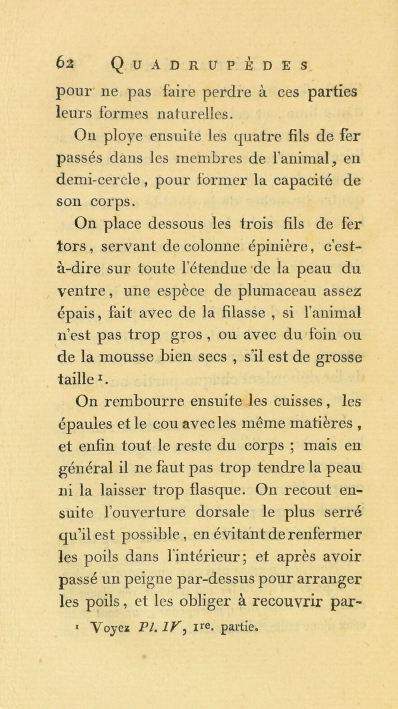 pour ne pas faire perdre à ces parties leurs formes naturelles. O11 ployé ensuite les quatre fils de fer passés dans les membres de l’animal, en demi-cercle, pour former la capacité de son corps. On place dessous les trois fils de fer tors, servant de colonne épinière, c’est- à-dire sur toute letenduede la peau du ventre, une espèce de plumaceau assez épais, fait avec de la filasse , si l’animal n’est pas trop gros , ou avec du foin ou de la mousse bien secs , s’il est de grosse taille1. On rembourre ensuite les cuisses, les épaules et le cou avec les même matières , et enfin tout le reste du corps ; mais en général il ne faut pas trop tendre la peau ni la laisser trop flasque. On recout en- suite l’ouverture dorsale le plus serré qu’il est possible, en évitant de renfermer les poils dans l'intérieur; et après avoir passé un peigne par-dessus pour arranger les poils, et les obliger à recouvrir par- 1 Voyez PI. 1V0 ire- partie.