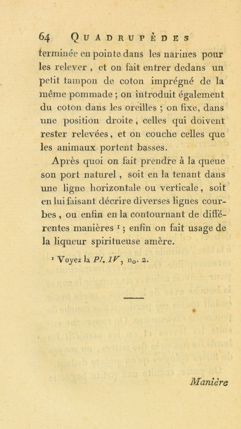 terminée en pointe dans les narines pour les relever , et on fait entrer dedans un petit tampon de coton imprégné de la même pommade ; on introduit également du coton dans les oreilles ; on fixe, dans une position droite , celles qui doivent rester relevées, et on couche celles que les animaux portent basses. Après quoi on fait prendre à la queue son port naturel , soit en la tenant dans une ligne horizontale ou verticale, soit en lui faisant décrire diverses lignes cour- bes , ou enfin en la contournant de diffé- rentes manières 1 ; enfin on fait usage de la liqueur spiritueuse amère. 1 Voyez la PI, lV^ nQ- 2. Manière