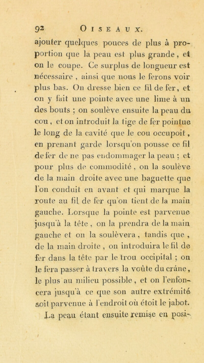 ajouter quelques pouces de plus à pro- portion que la peau est plus grande , et on le coupe. Ce surplus de longueur est nécessaire , ainsi que nous le ferons voir plus bas. On dresse bien ce lil de fer, et on y lait une pointe avec une lime à un des bouts ; on soulève ensuite la peau du cou , et on introduit la tige de fer pointue le long de la cavité que le cou occupoit, en prenant garde lorsqu’on pousse ce fil de fer de ne pas endommager la peau ; et pour plus de commodité , on la soulève de la main droite avec une baguette que Ion conduit en avant et qui marque la route au fil de fer qu’on tient de la main gauche. Lorsque la pointe est parvenue jusqu’à la tête , on la prendra de la main gauche et on la soulèvera, tandis que , de la main droite , on introduira le fil de fer dans la tête par le trou occipital ; on le fera passer à travers la voûte du crâne, le plus au milieu possible, et on l’enfon- cera jusqu’à ce que son autre extrémité soit parvenue à 1 endroit où étoit le jabot. La peau étant ensuite remise en posi- i