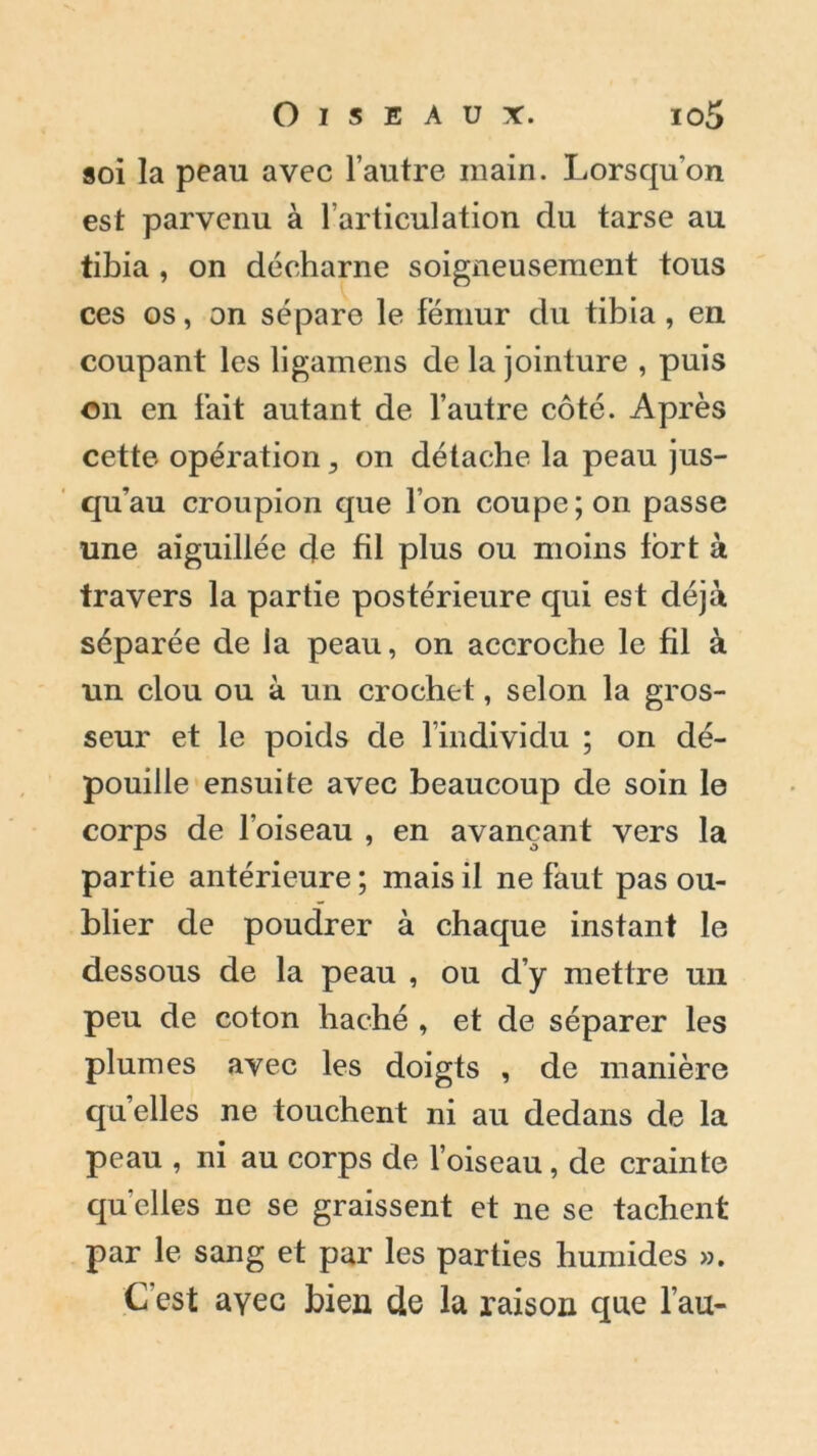 soi la peau avec l’autre main. Lorsqu’on est parvenu à l’articulation du tarse au tibia , on décharné soigneusement tous ces os, on sépare le fémur du tibia , en coupant les ligamens de la jointure , puis on en fait autant de l’autre côté. Après cette opération 3 on détache la peau jus- qu’au croupion que l’on coupe; on passe une aiguillée de fil plus ou moins fort à travers la partie postérieure qui est déjà séparée de la peau, on accroche le fil à un clou ou à un crochet, selon la gros- seur et le poids de l’individu ; on dé- pouille ensuite avec beaucoup de soin le corps de l’oiseau , en avançant vers la partie antérieure; mais il ne faut pas ou- blier de poudrer à chaque instant le dessous de la peau , ou d’y mettre un peu de coton haché , et de séparer les plumes avec les doigts , de manière quelles ne touchent ni au dedans de la peau , ni au corps de l’oiseau, de crainte quelles ne se graissent et ne se tachent par le sang et par les parties humides ». C est ayec bien de la raison que l’au-